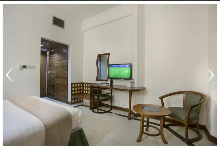 TV and multimedia in Seagull Hotel Ltd