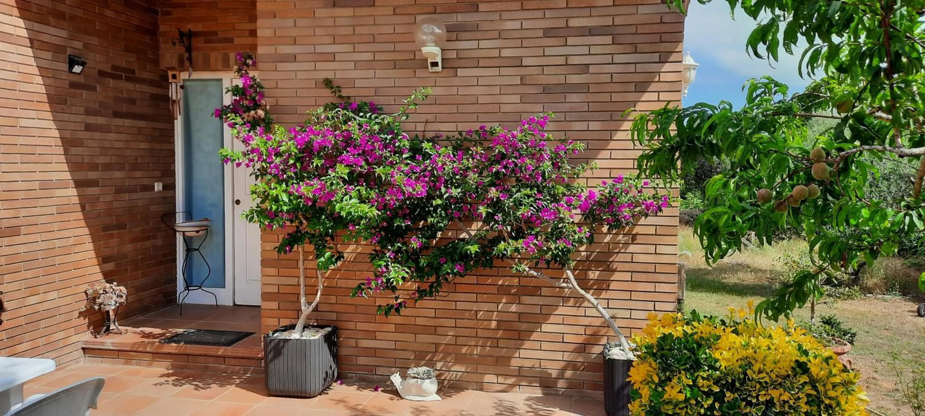 Facade/entrance in Can Carbó