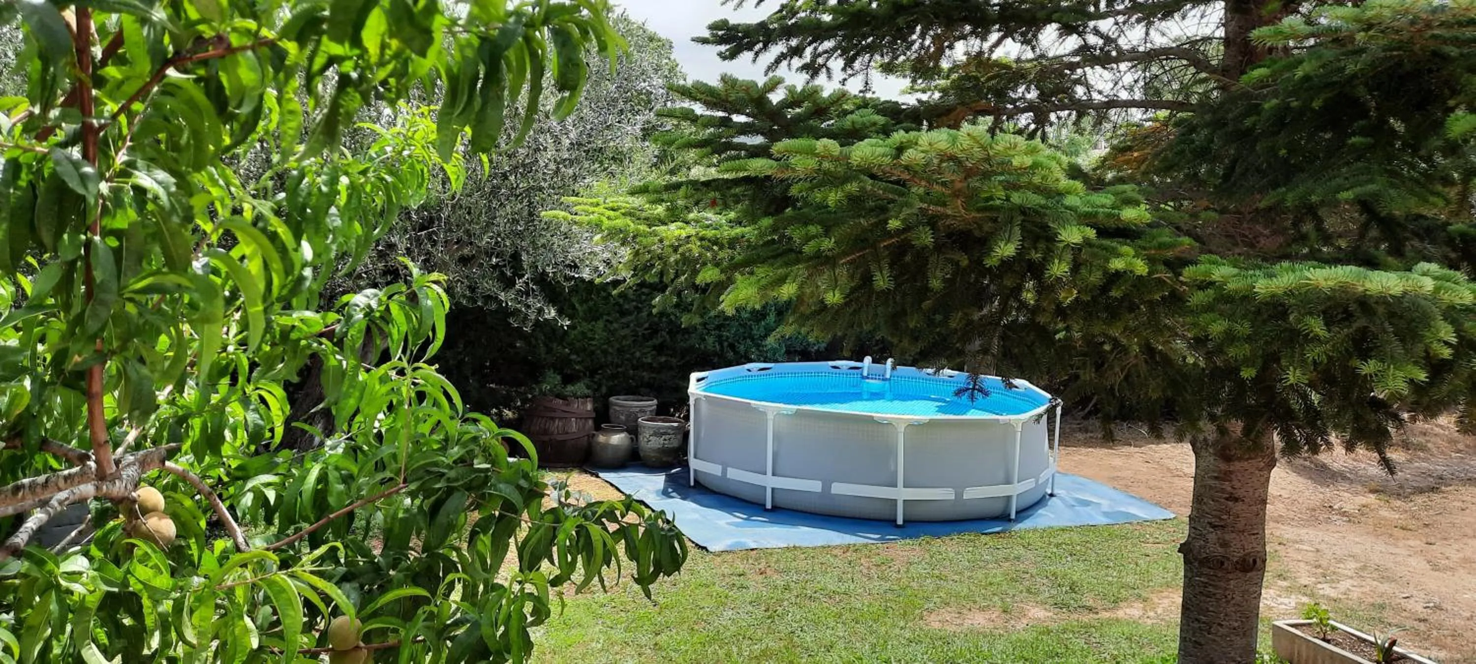 Natural landscape in Can Carbó