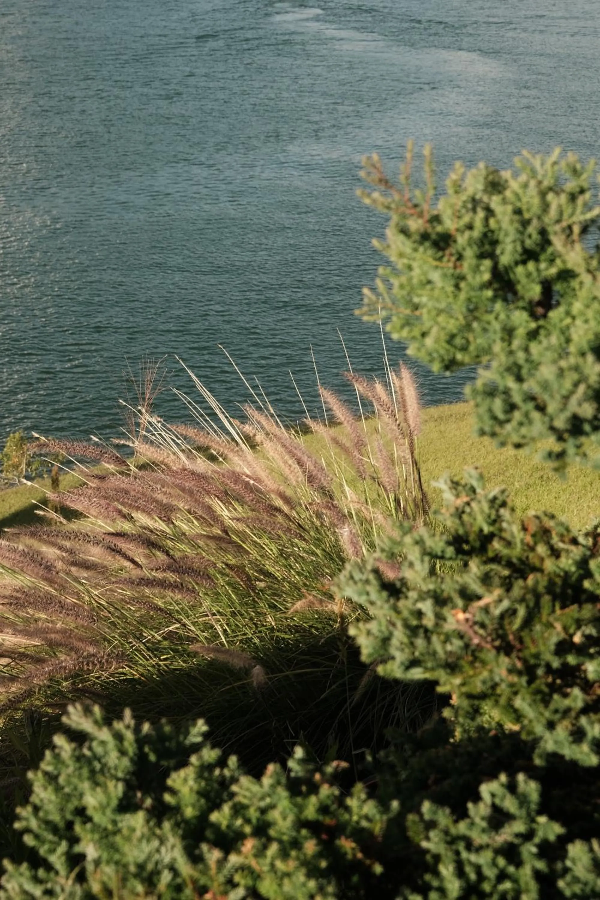 River view in Tau House