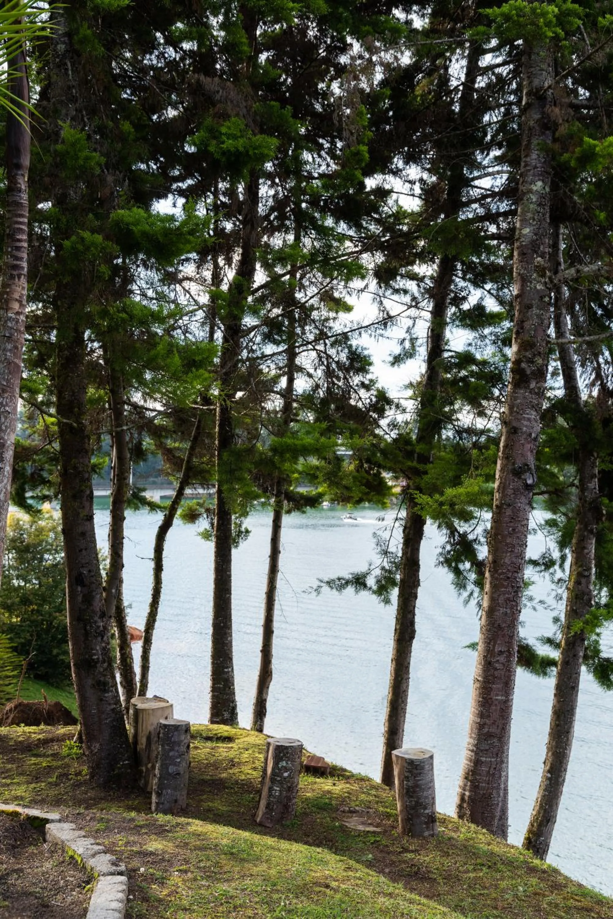 Lake view in Tau House