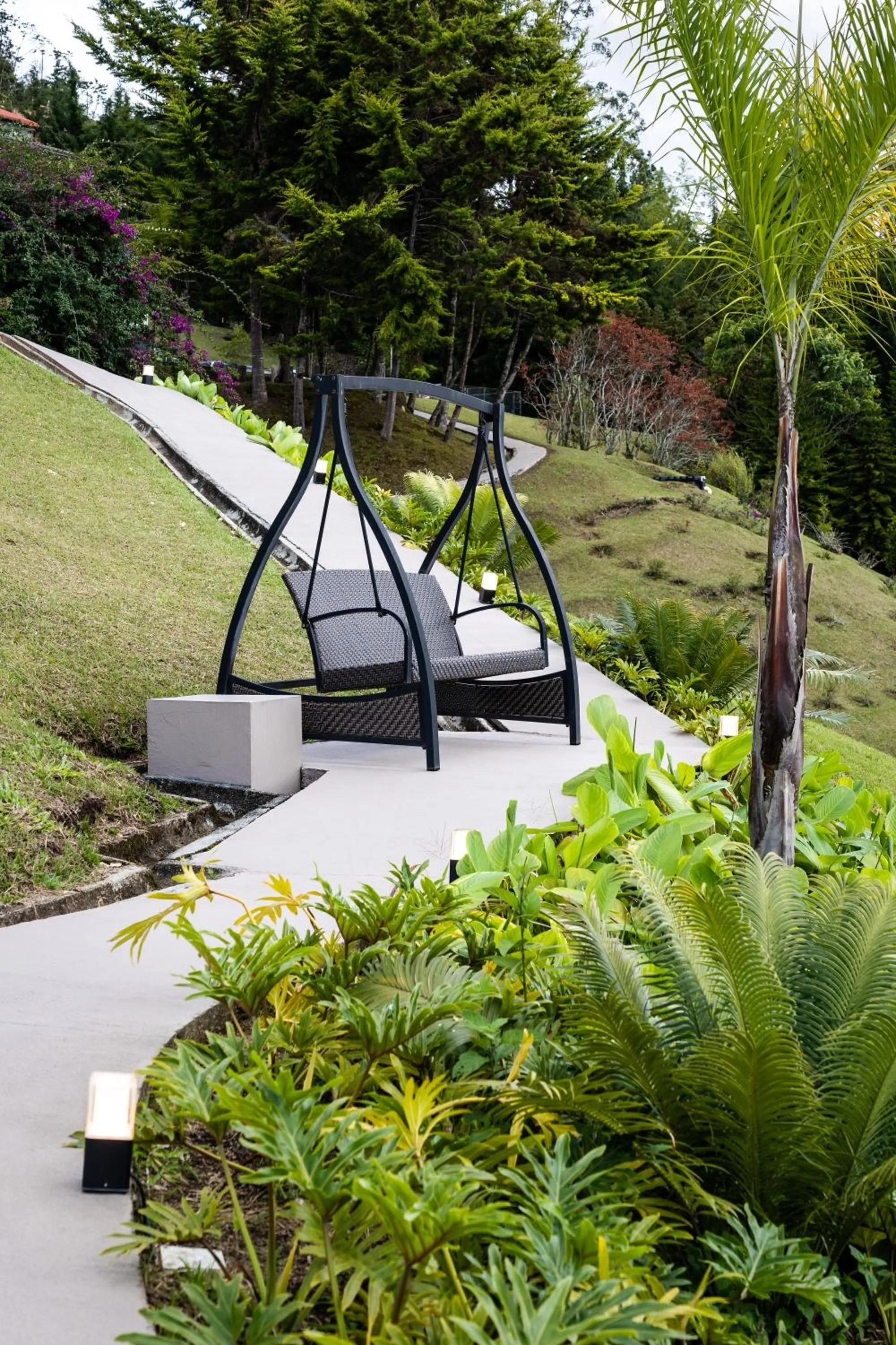 Garden view in Tau House