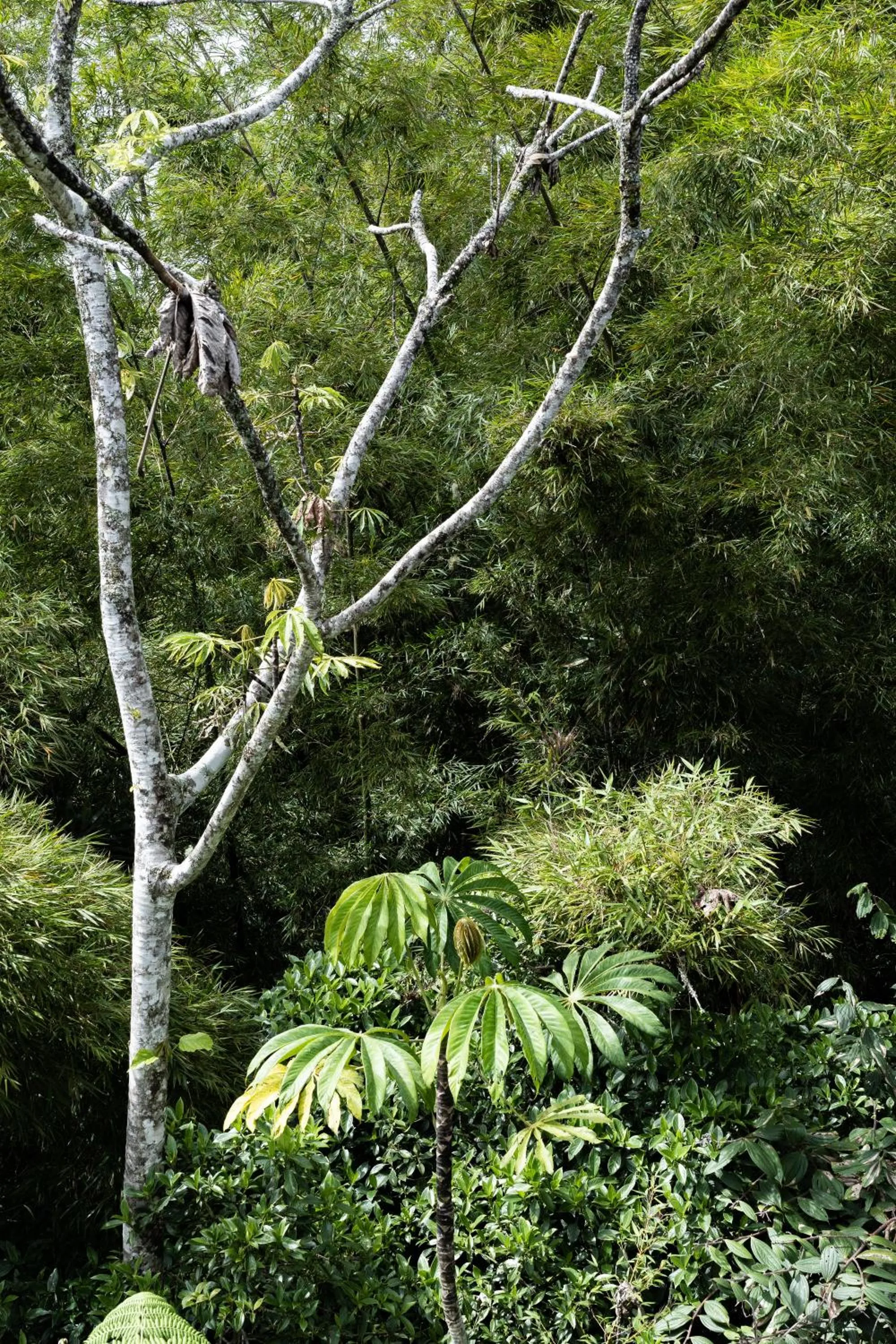 View (from property/room) in Tau House
