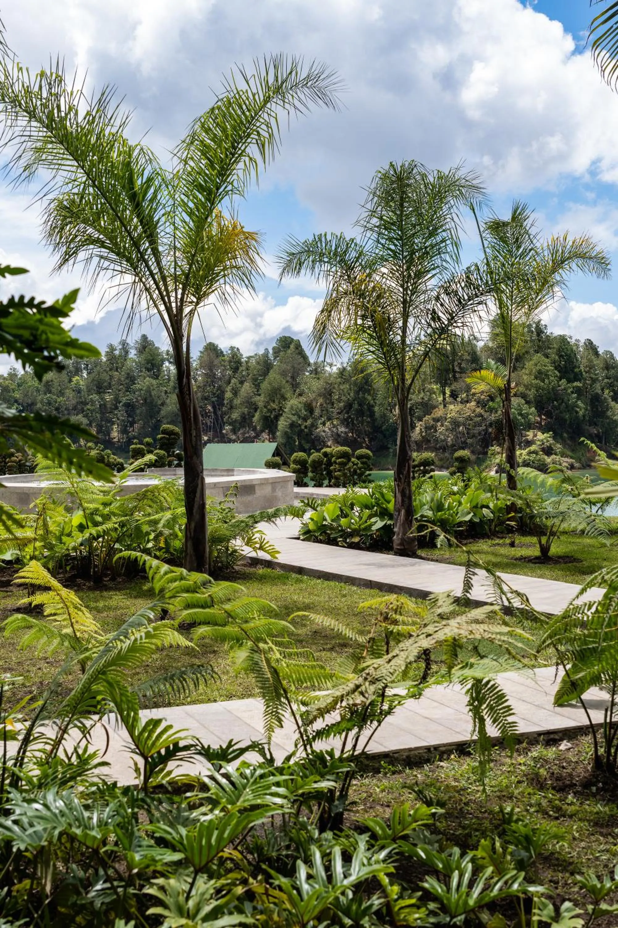 Natural landscape in Tau House
