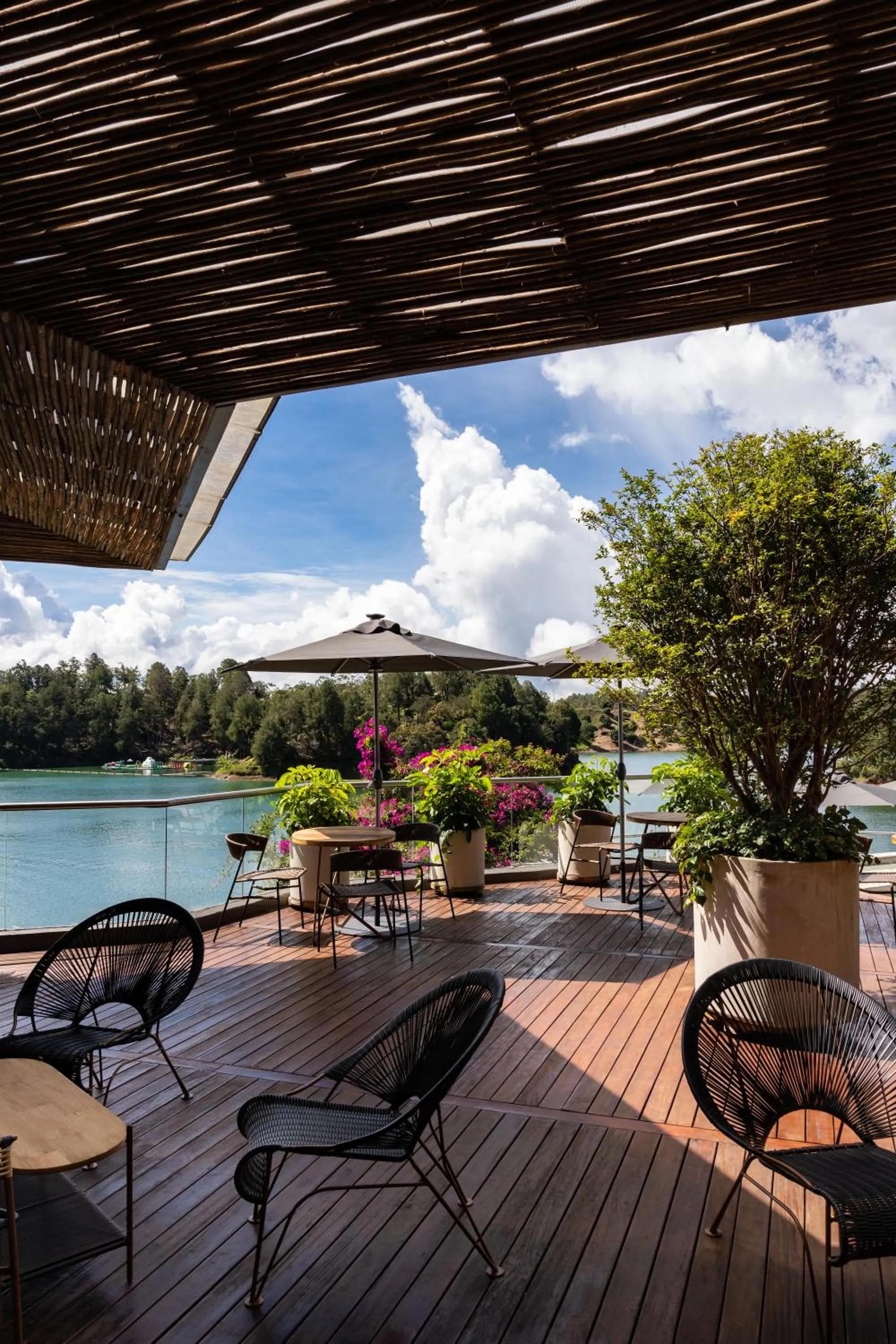 Natural landscape in Tau House