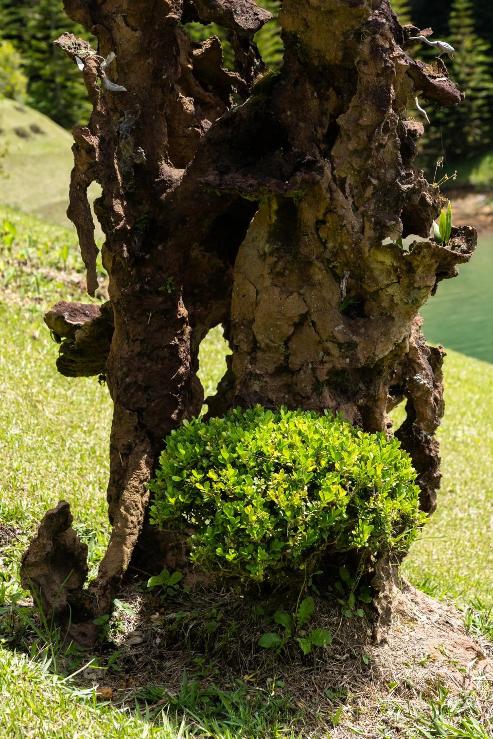 Natural landscape in Tau House