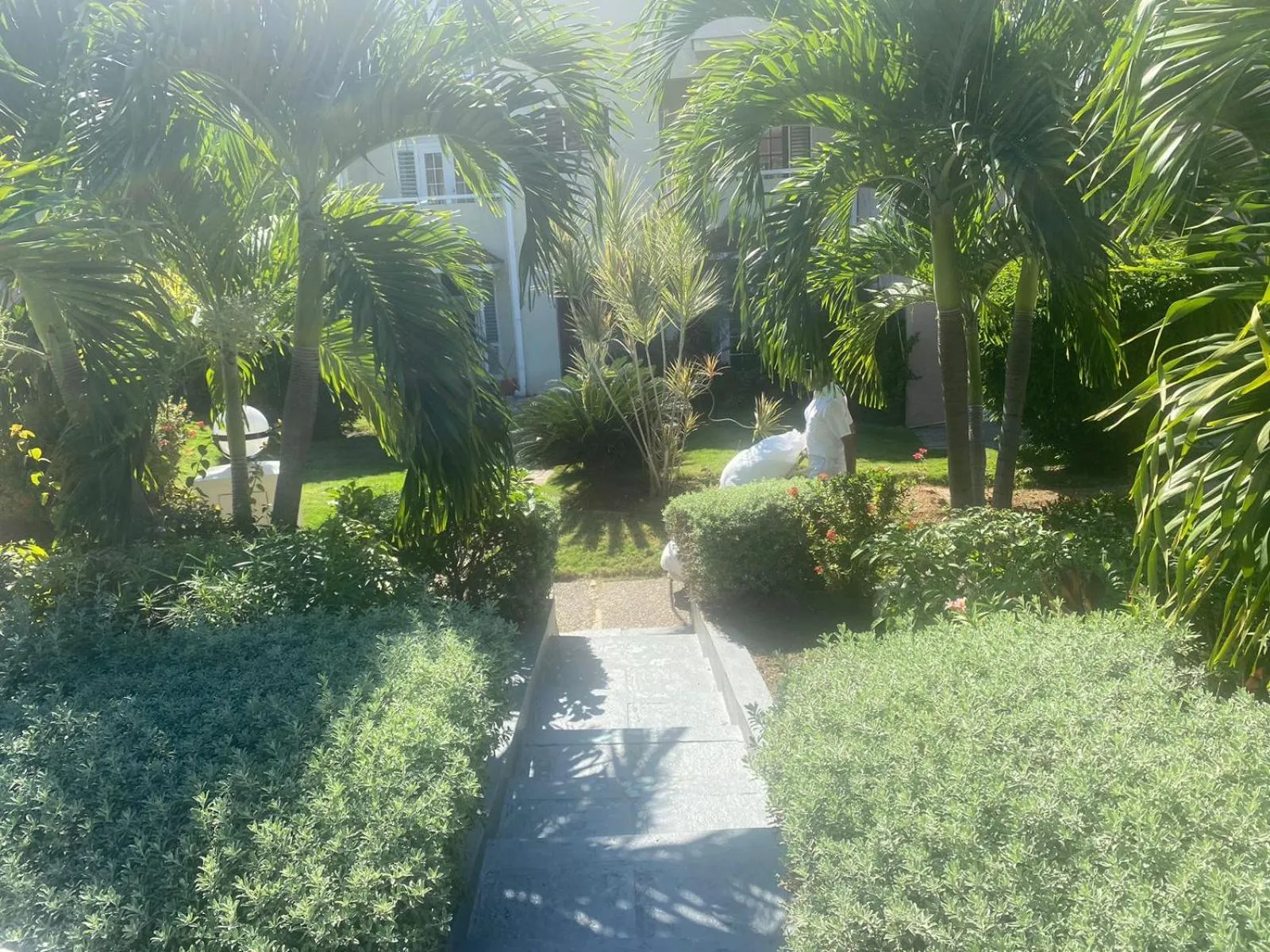 Natural landscape, Garden in Fisherman's Point