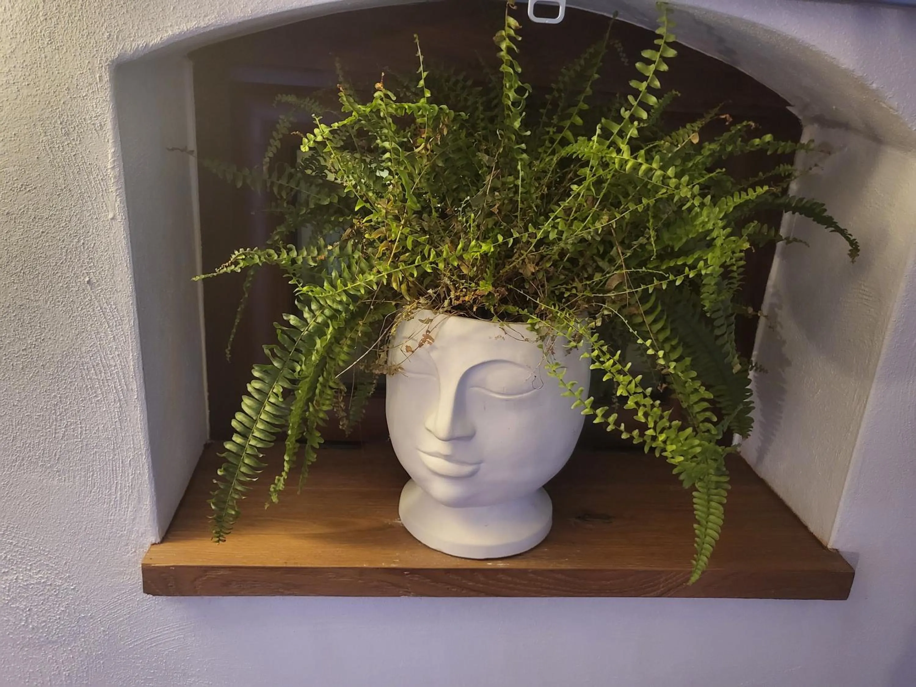 Decorative detail in L'edera