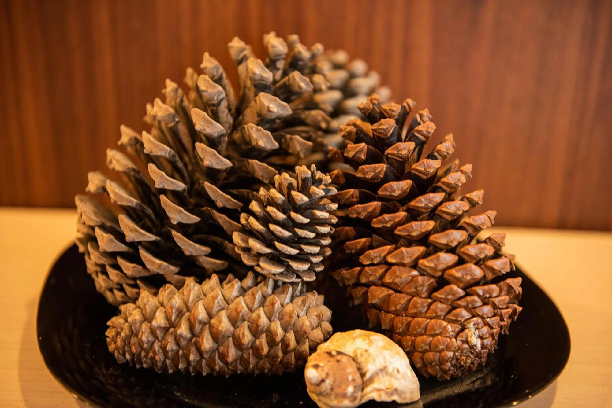 Decorative detail in Green Life Beach Resort Apartment