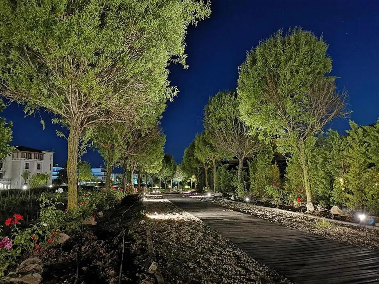 Natural landscape in Green Life Beach Resort Apartment