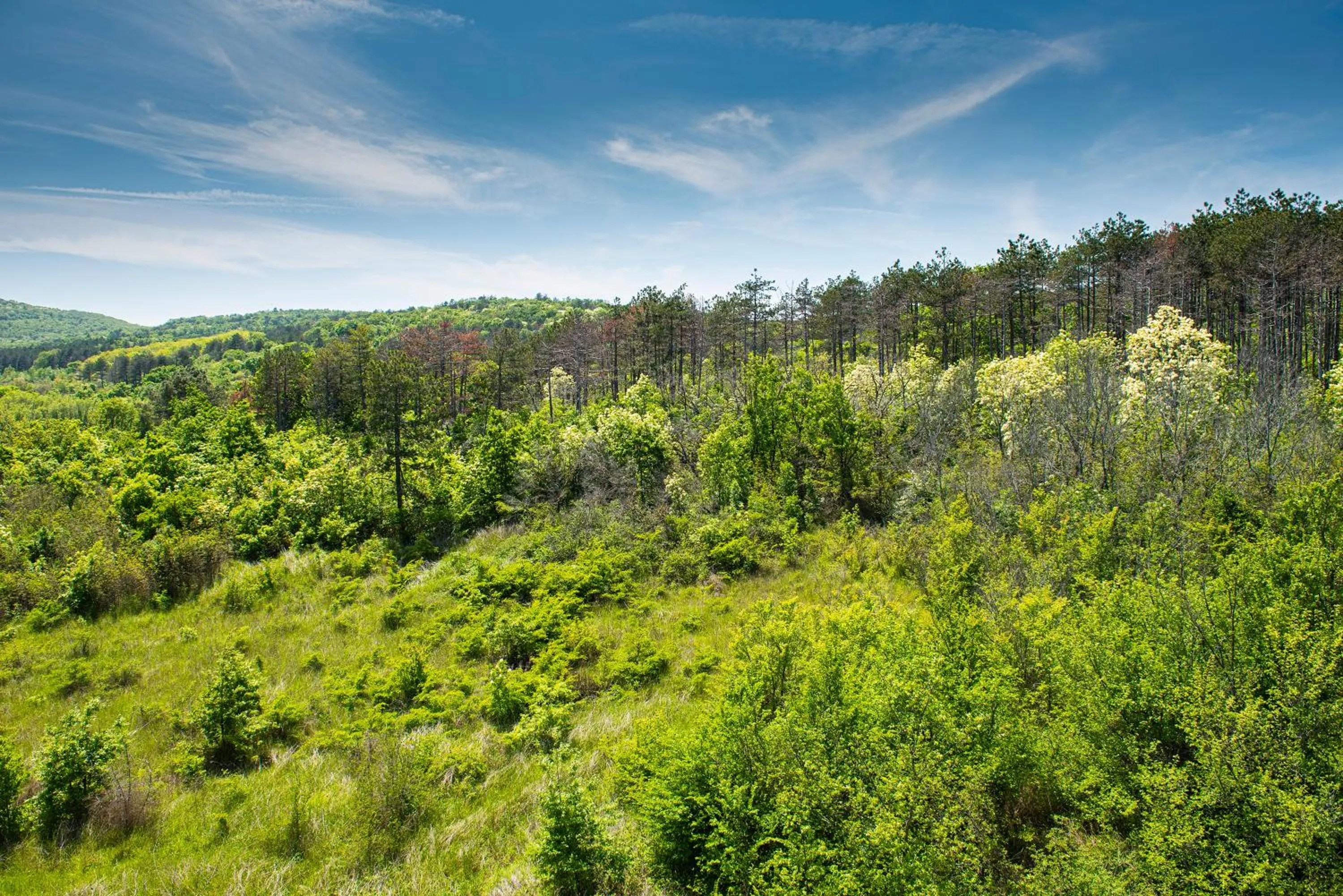 Nearby landmark in Green Life Beach Resort Apartment