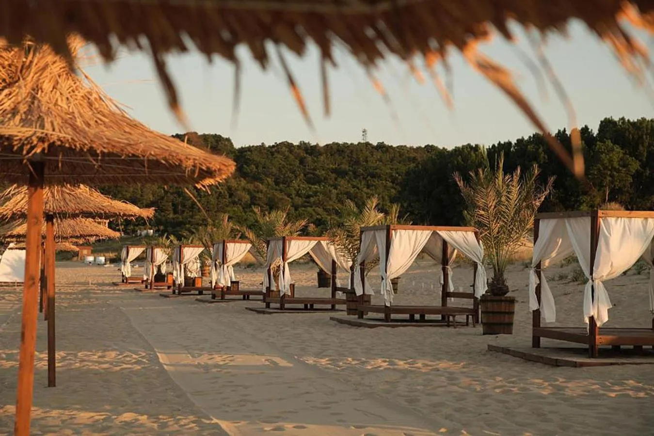 Beach in Green Life Beach Resort Apartment