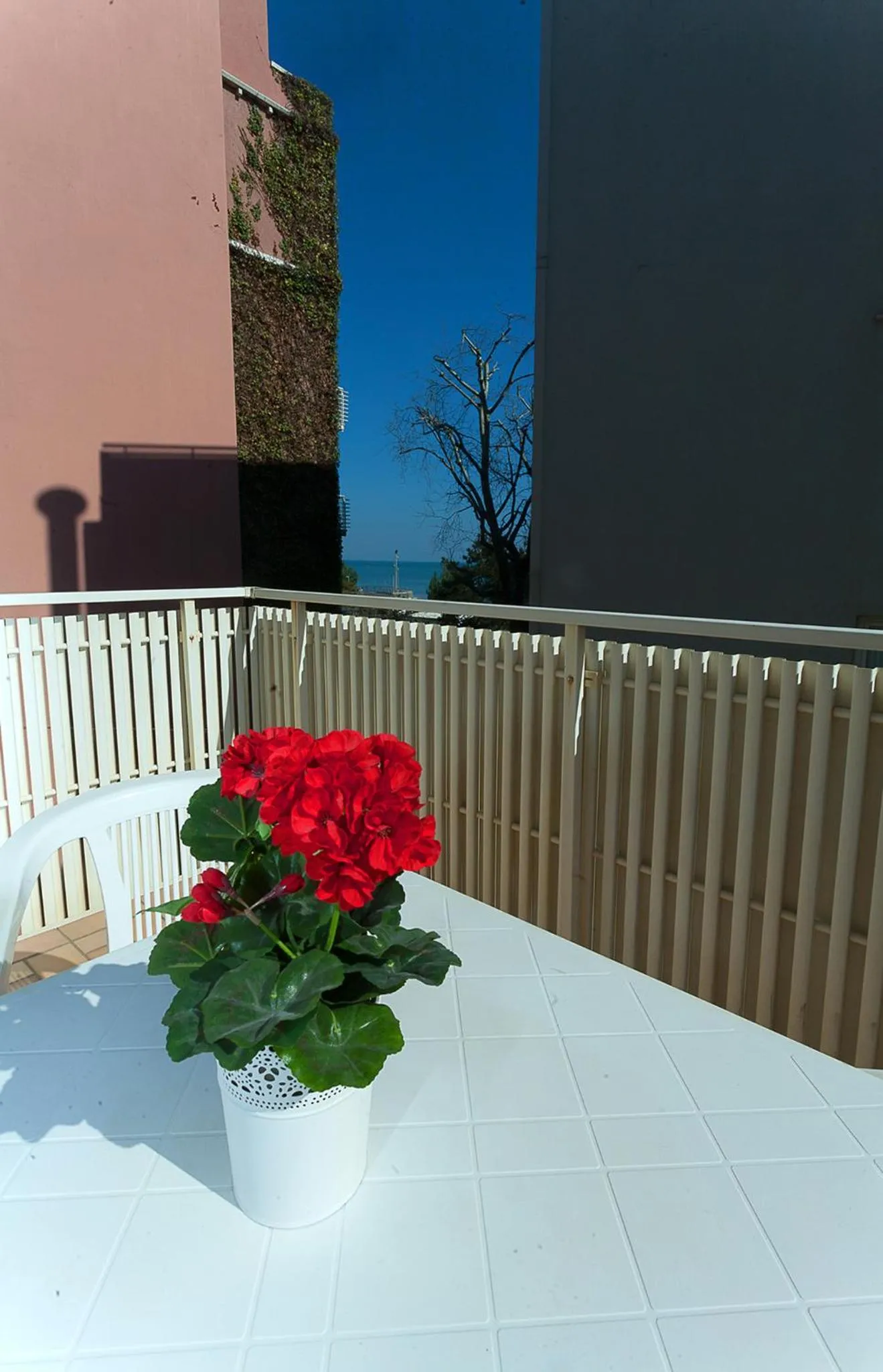 Balcony/Terrace in Hotel Amalfi & Dépendance