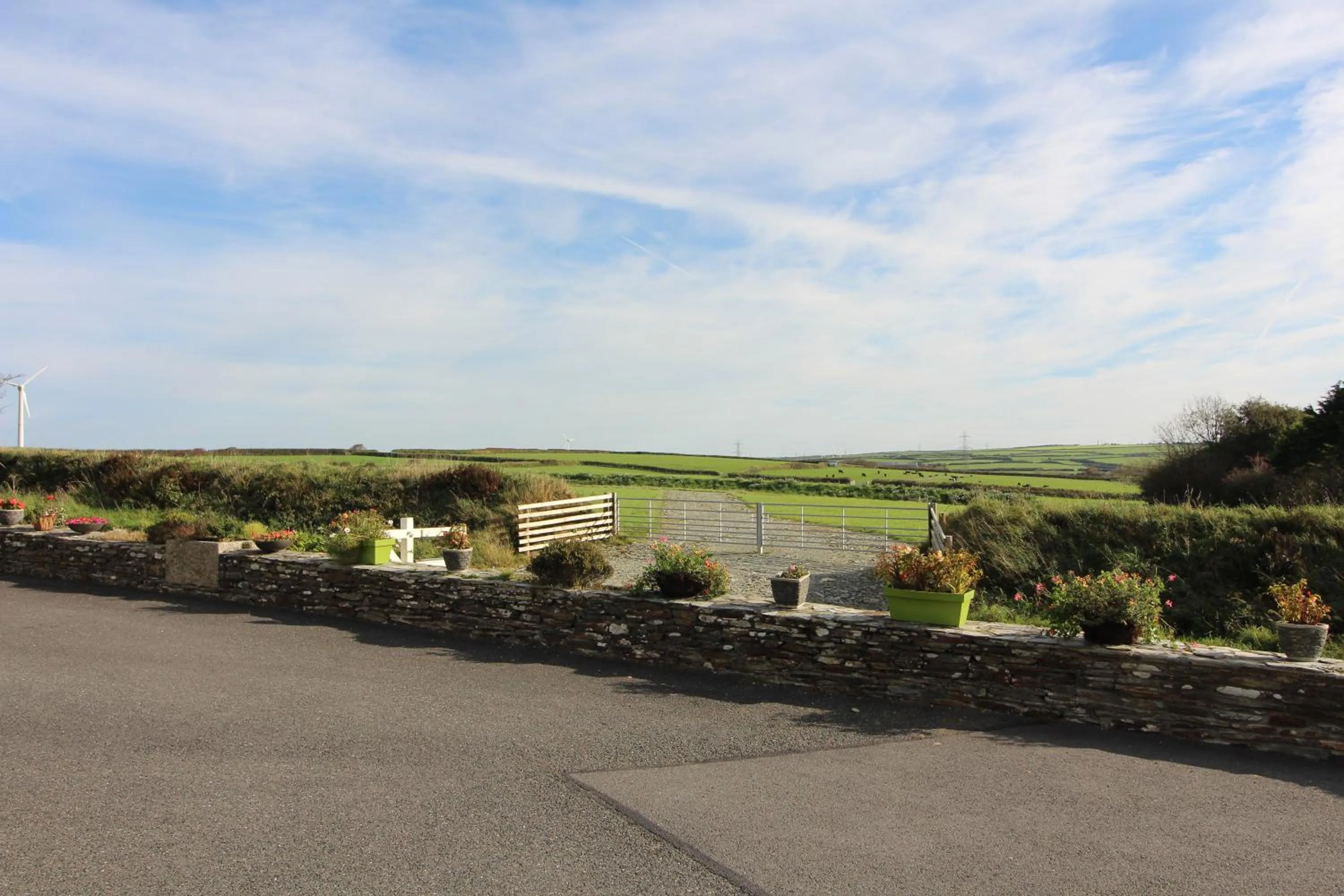 Natural landscape in Melorne Farm Guest House