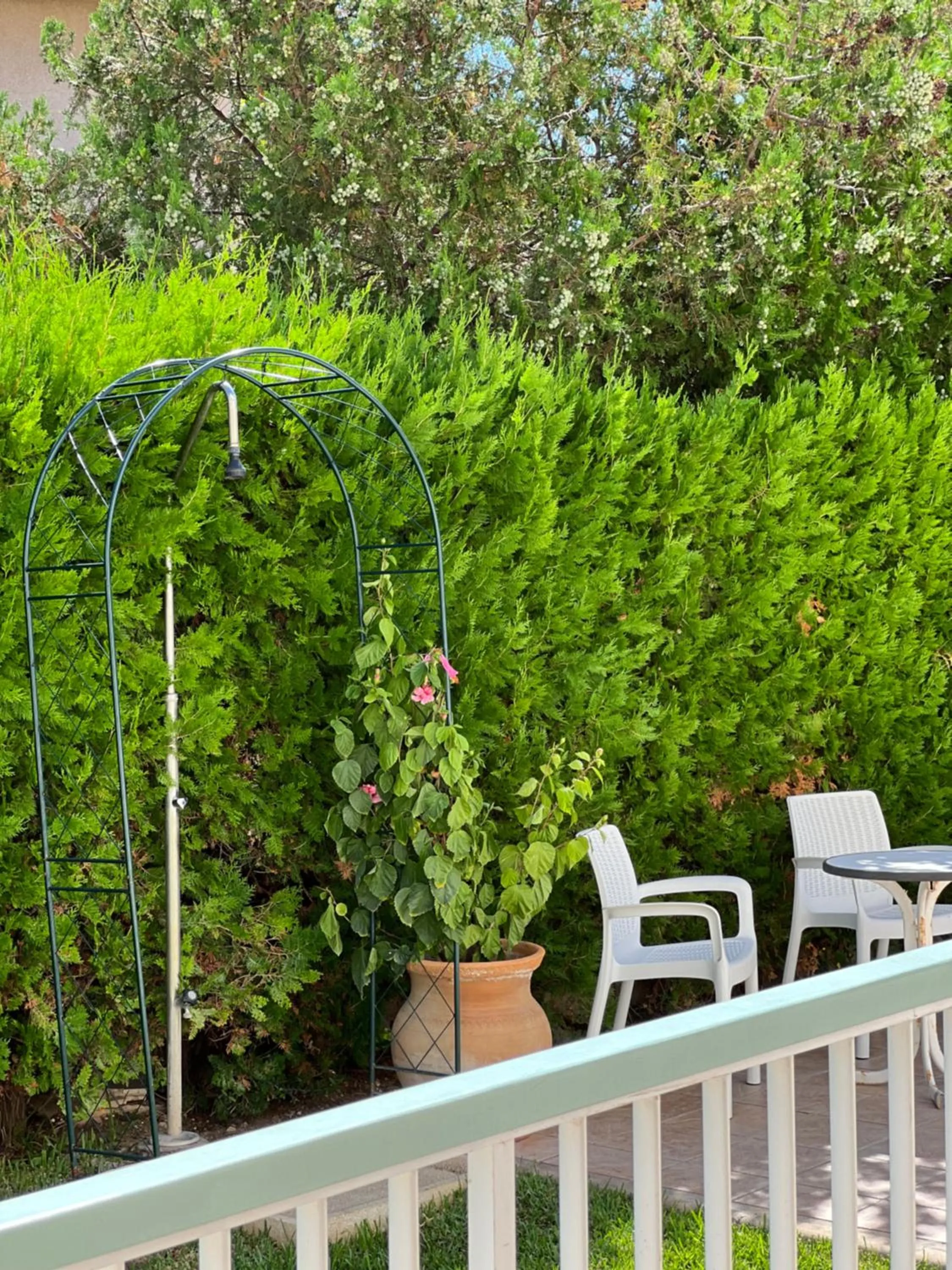 Garden in Villa Alexia- APARTMENT AQUA - Puerto Pollensa