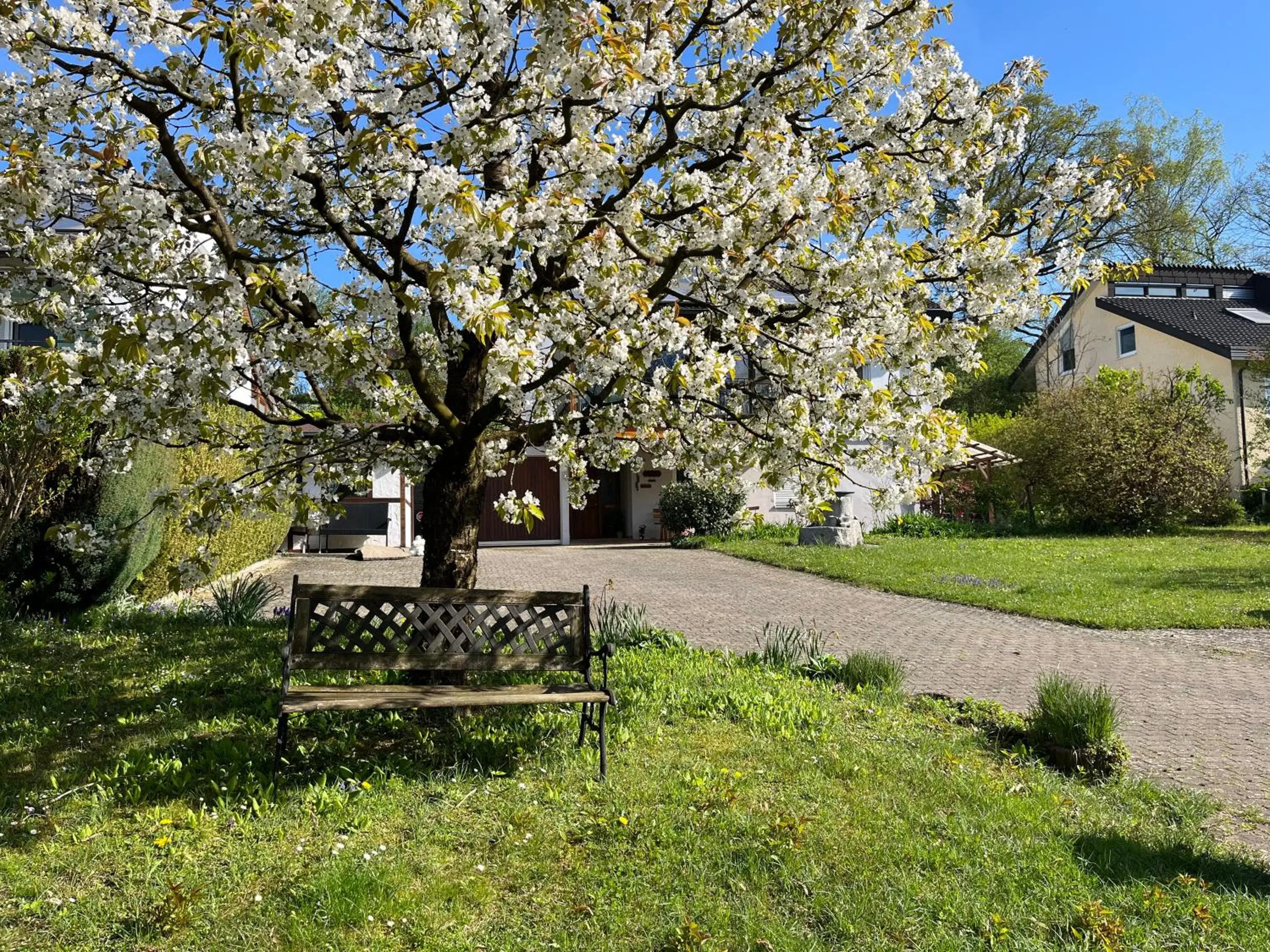 Ferienwohnung am Kirschbaum Ferienwohnung am Kirschbaum
