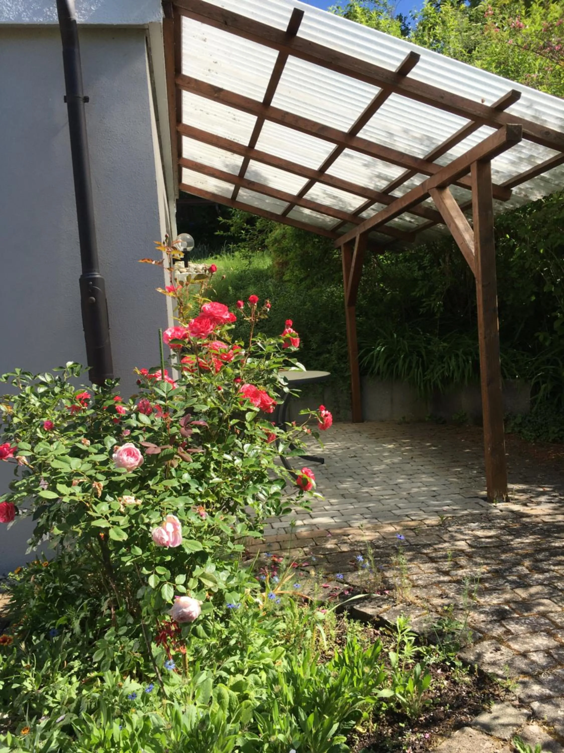 Garden in Ferienwohnung am Kirschbaum