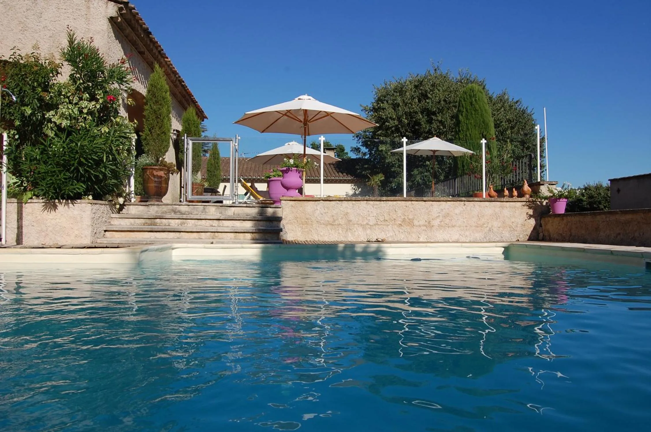 Swimming pool in Le Mas de l'Orangerie 3 etoiles
