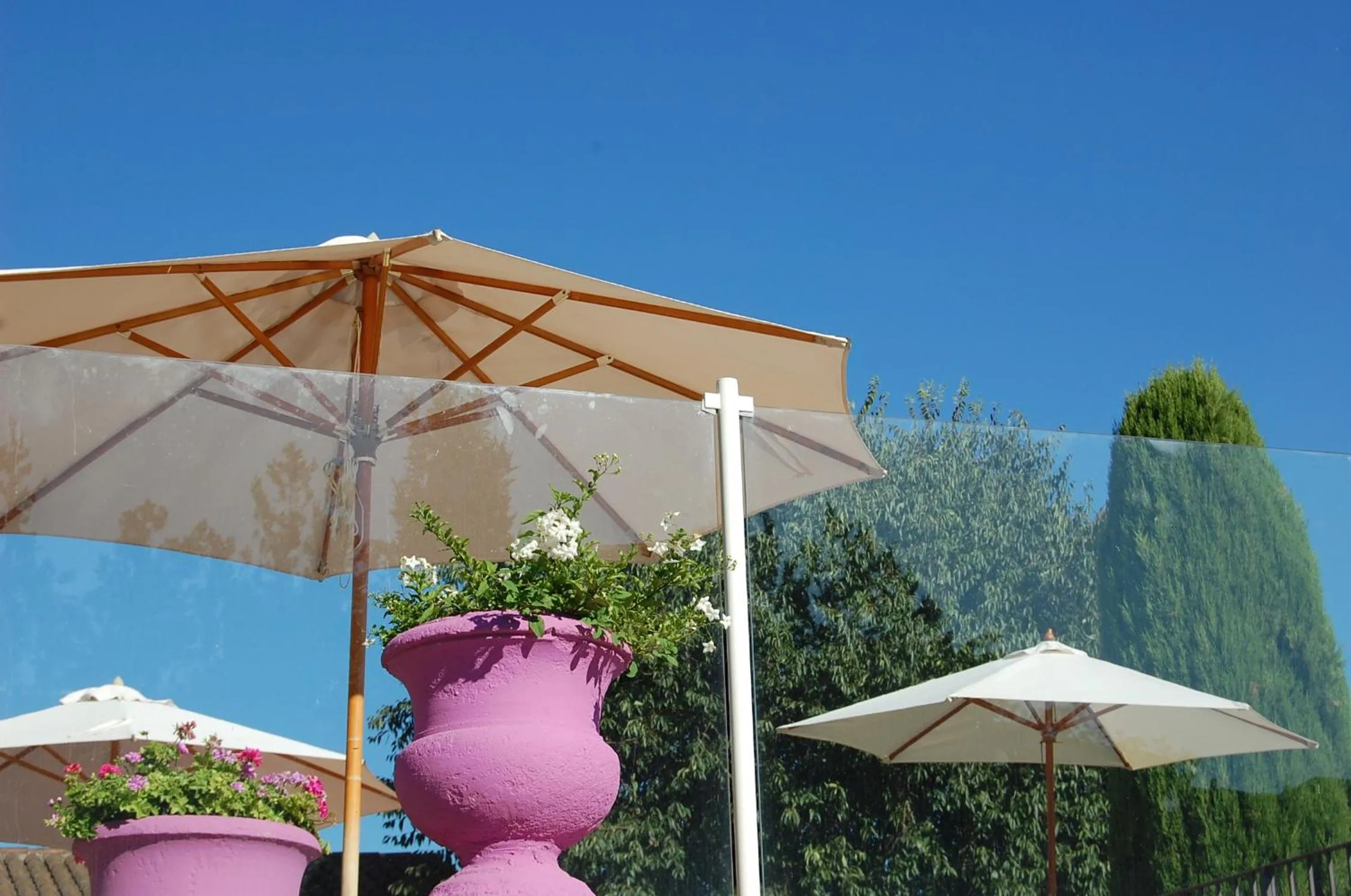 Swimming pool in Le Mas de l'Orangerie 3 etoiles