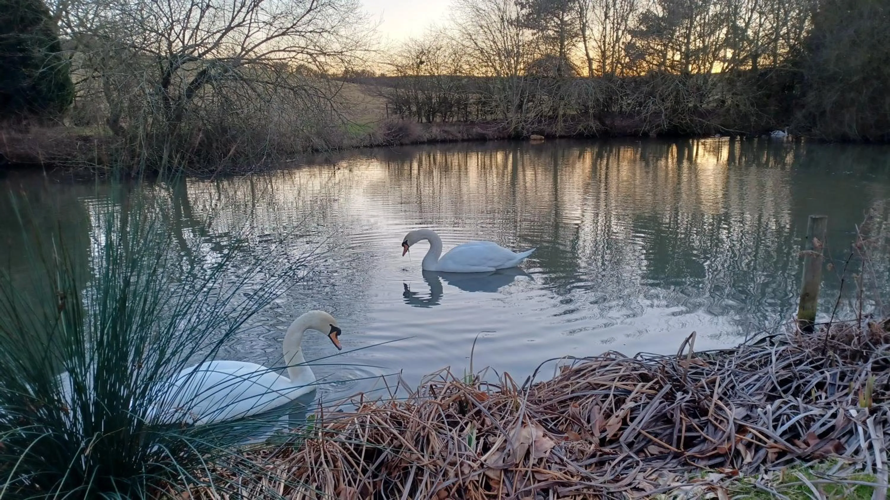 Natural landscape in Stowe Fields