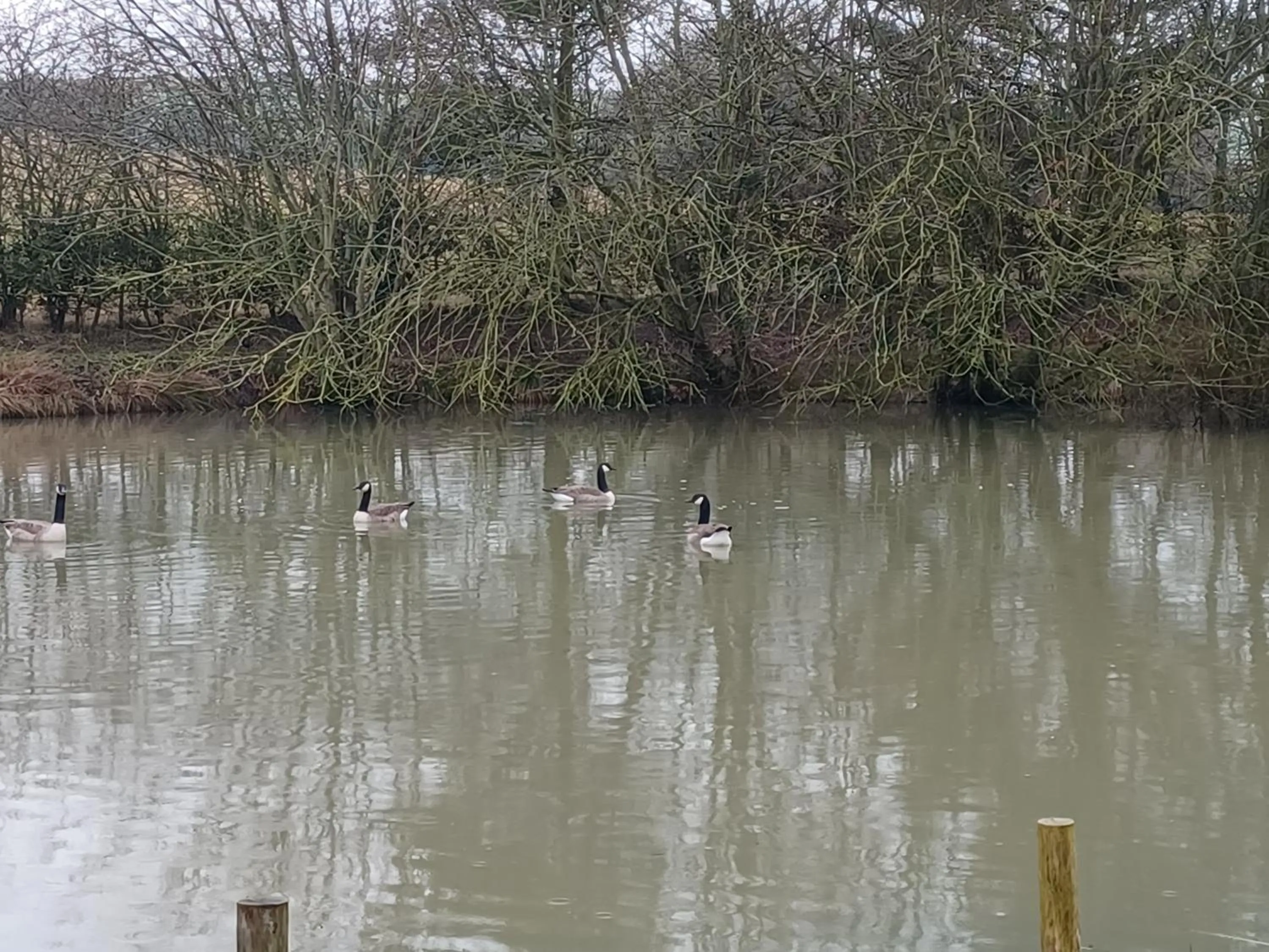 Natural landscape in Stowe Fields