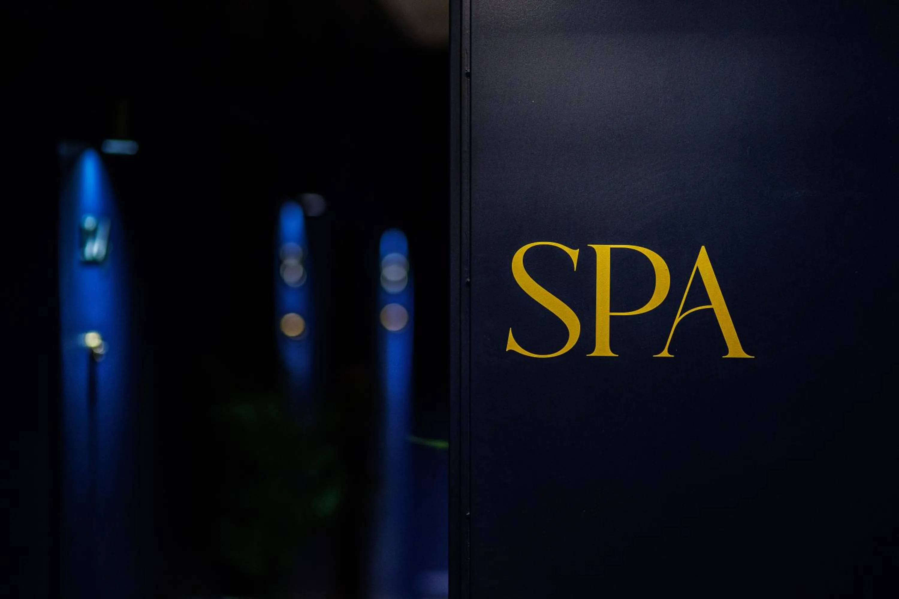 Spa and wellness centre/facilities in Aparthotel Amella