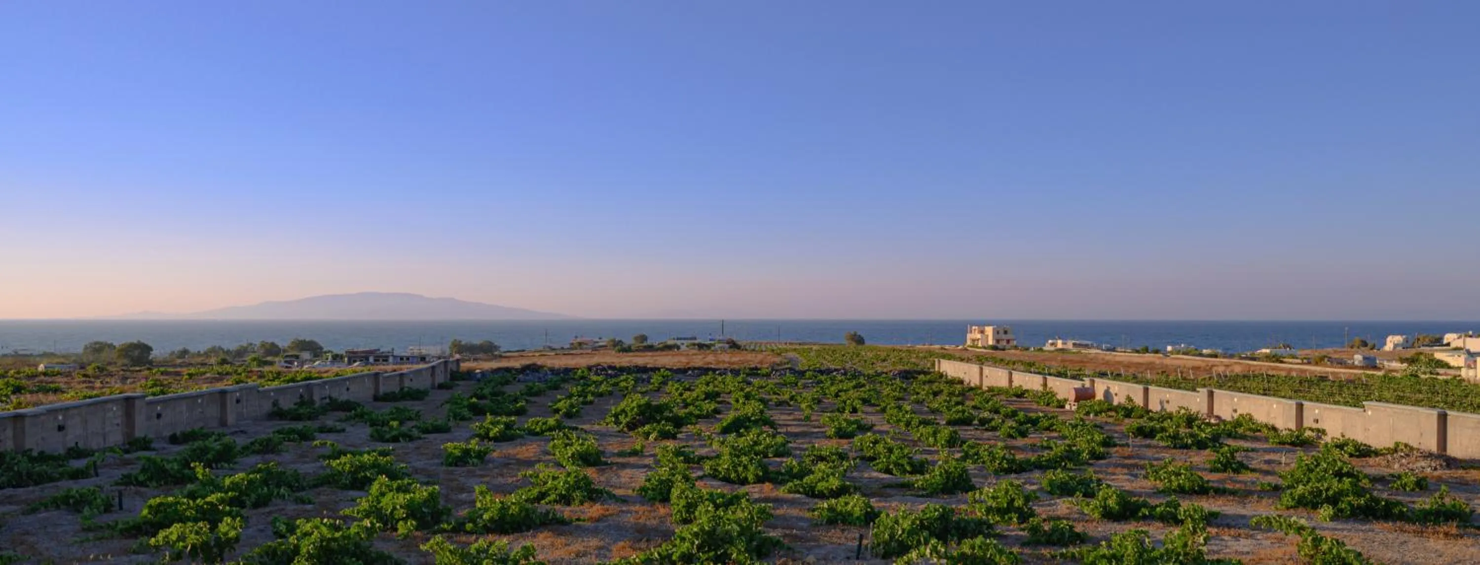 Property building in Anemi Vine Villas