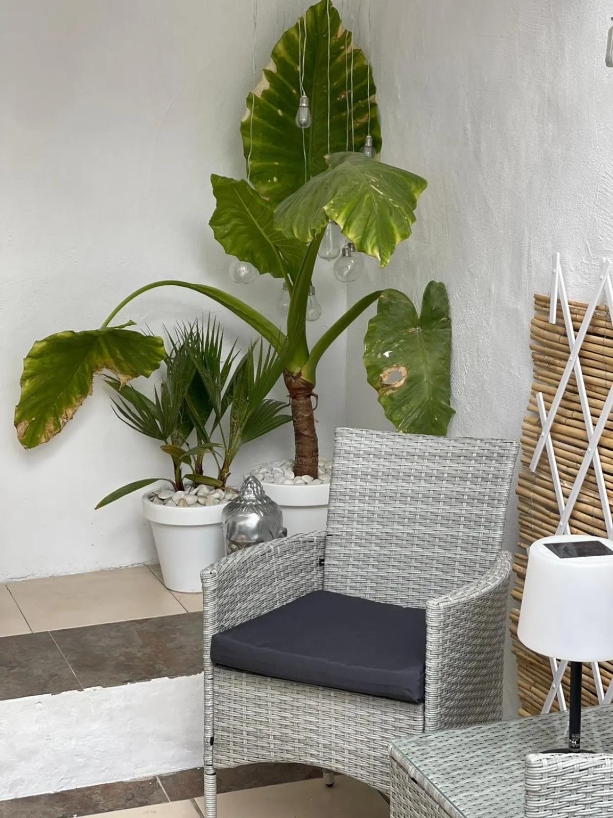 Patio in Casa Dolly Boutique B&B