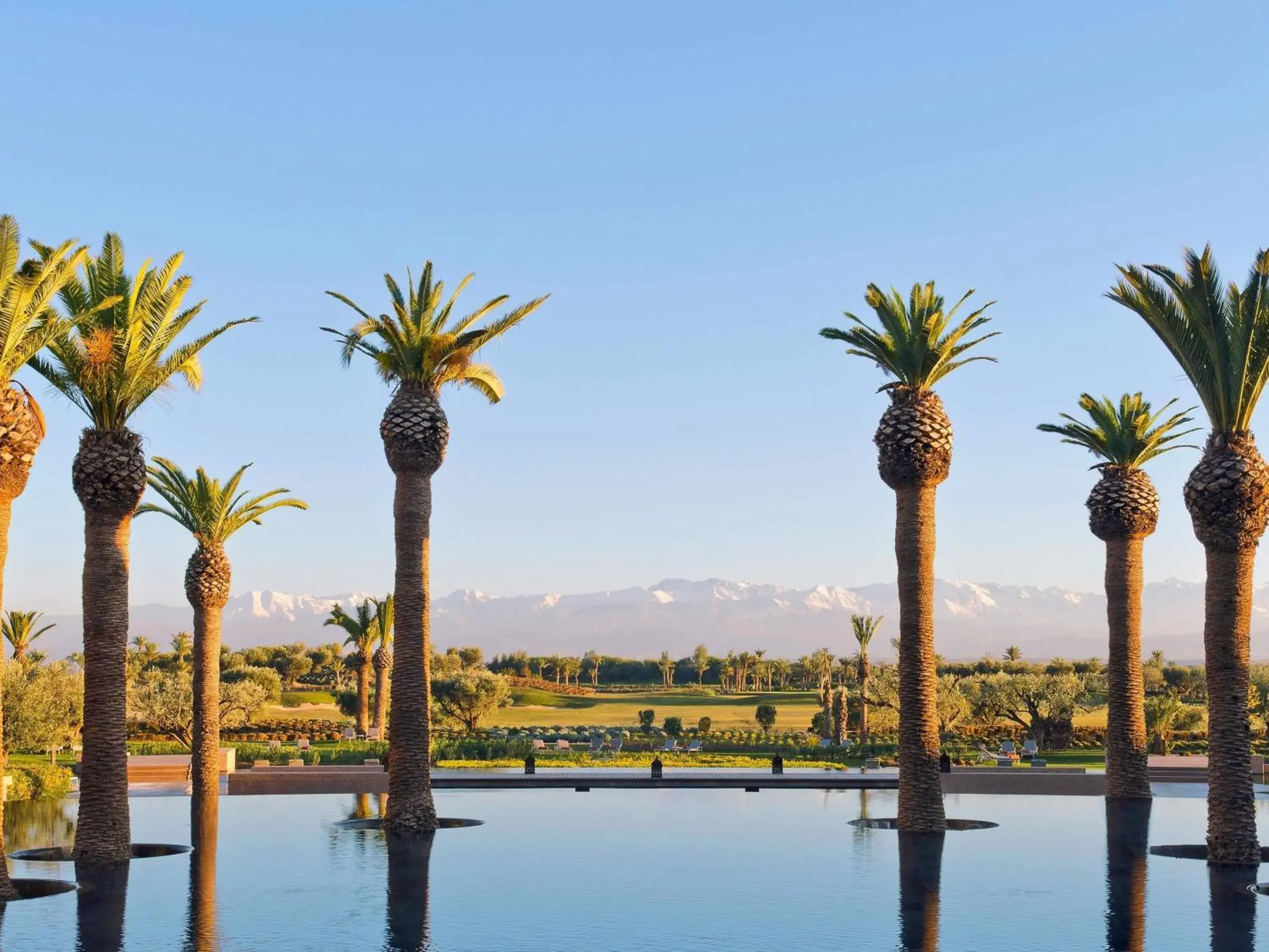 Pool view in Fairmont Royal Palm Marrakech Pool view in Fairmont Royal Palm Marrakech