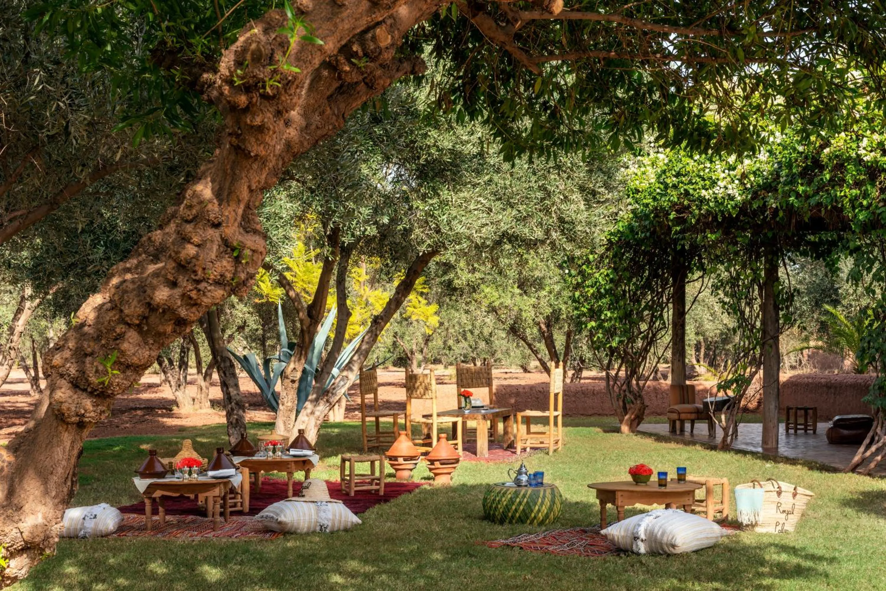Garden in Fairmont Royal Palm Marrakech