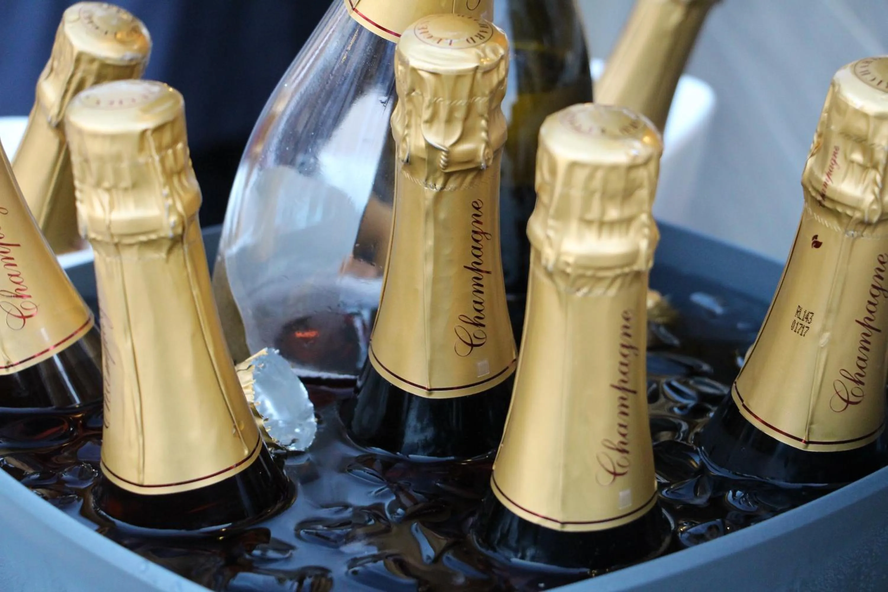 Lounge or bar in ALTO Beyond