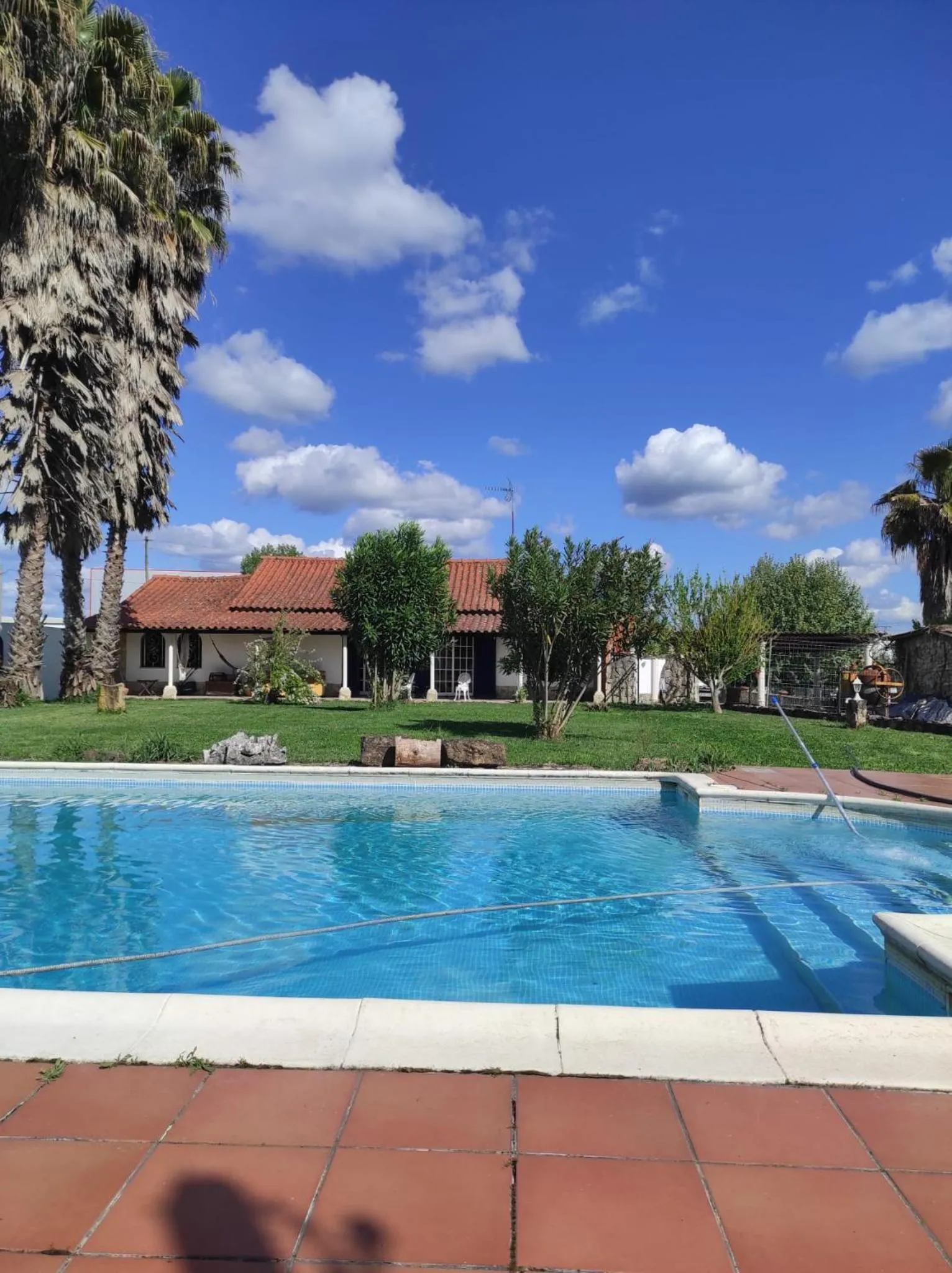 Swimming pool in Fazenda do Marante