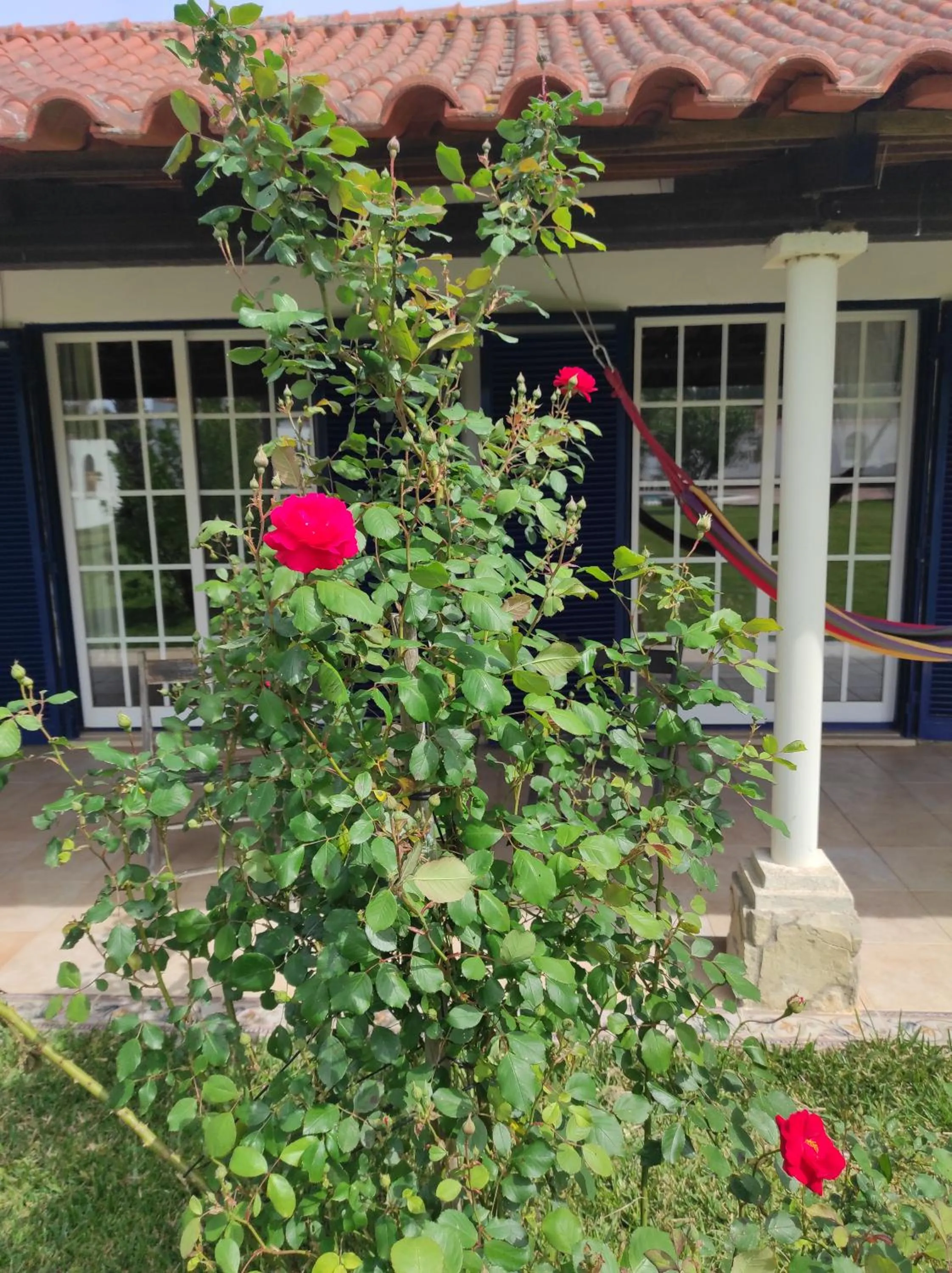 Fazenda do Marante