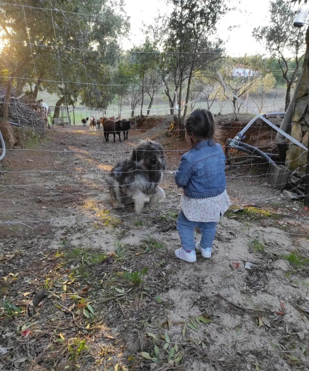 children in Fazenda do Marante