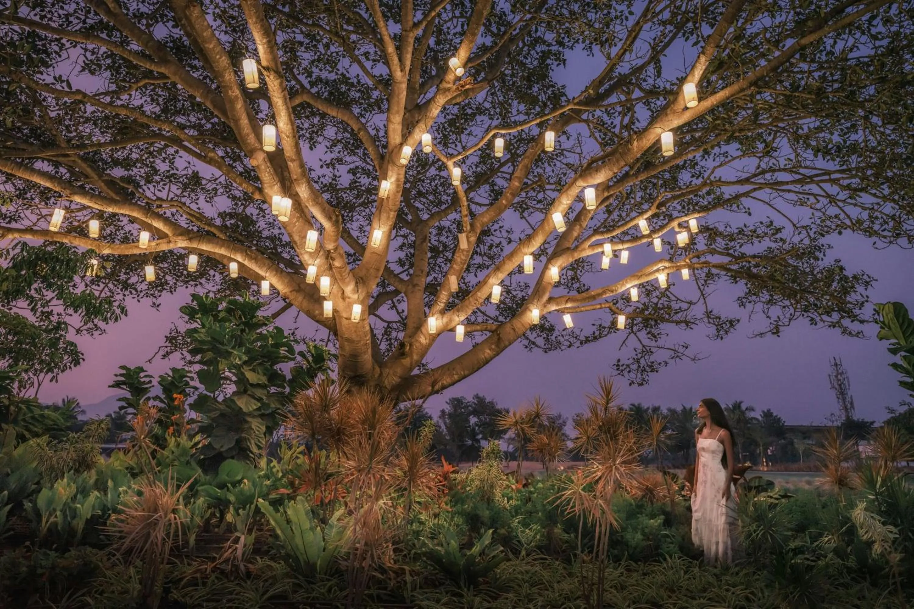 View (from property/room) in JW Marriott Hotel Bengaluru Prestige Golfshire Resort & Spa