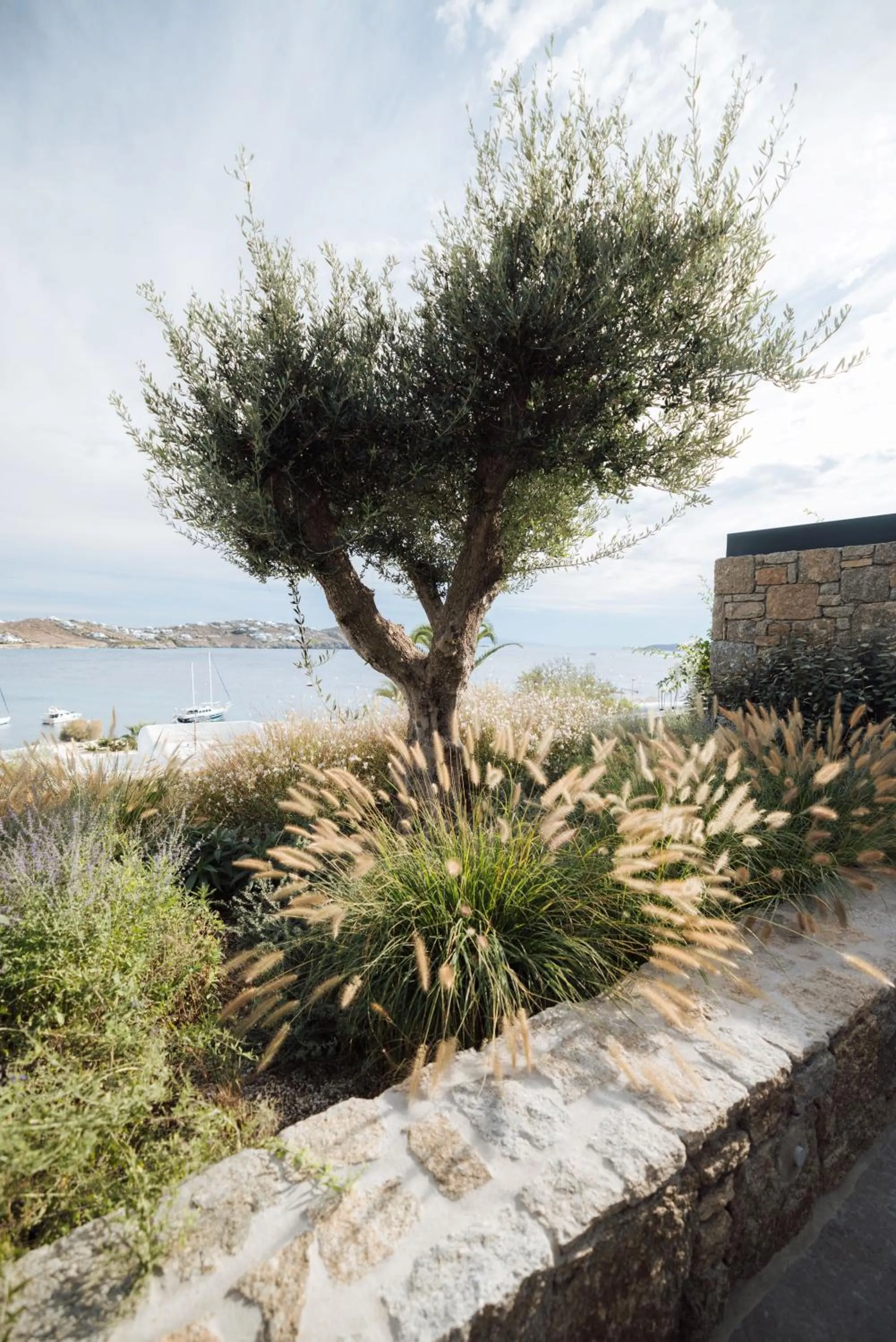 Natural landscape in Noima Boutique Hotel Mykonos