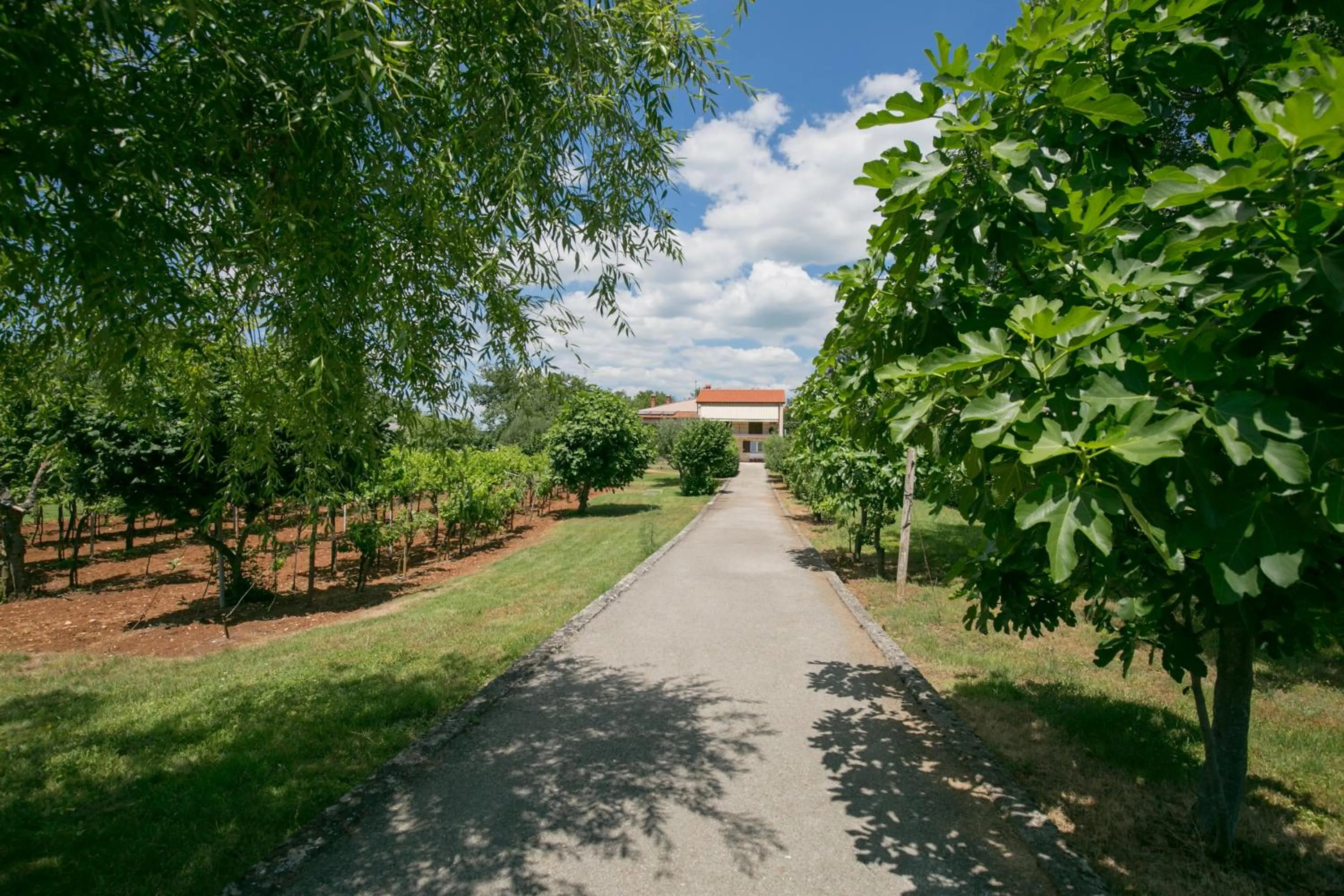 Apartman Vito