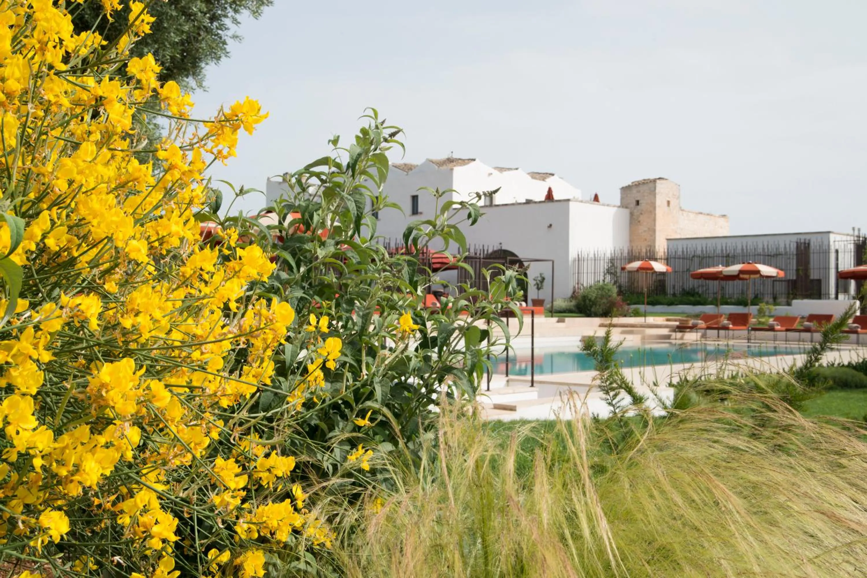 Swimming pool in Masseria Santo Scalone