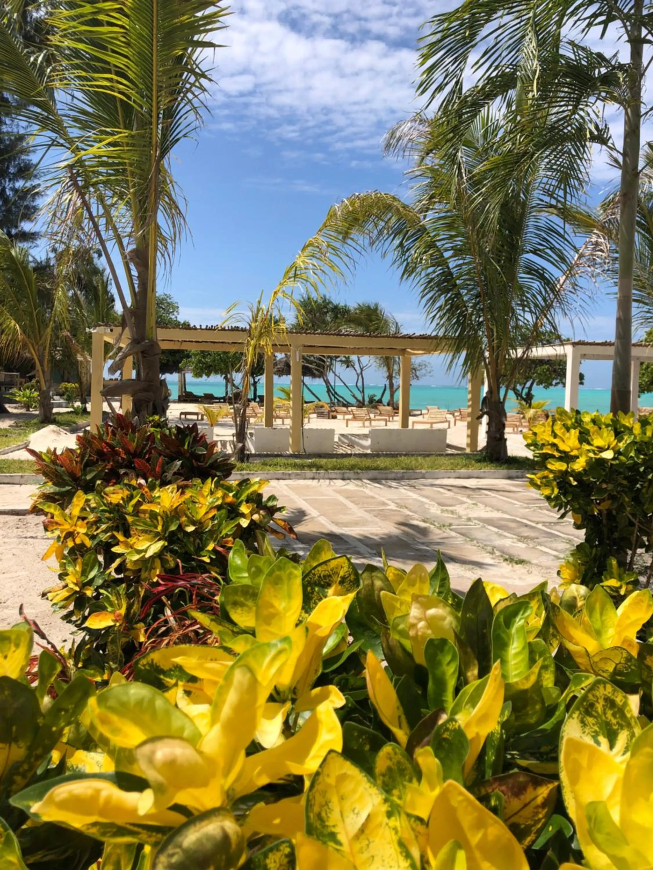 Garden in Jambo Beach Hotel Paje