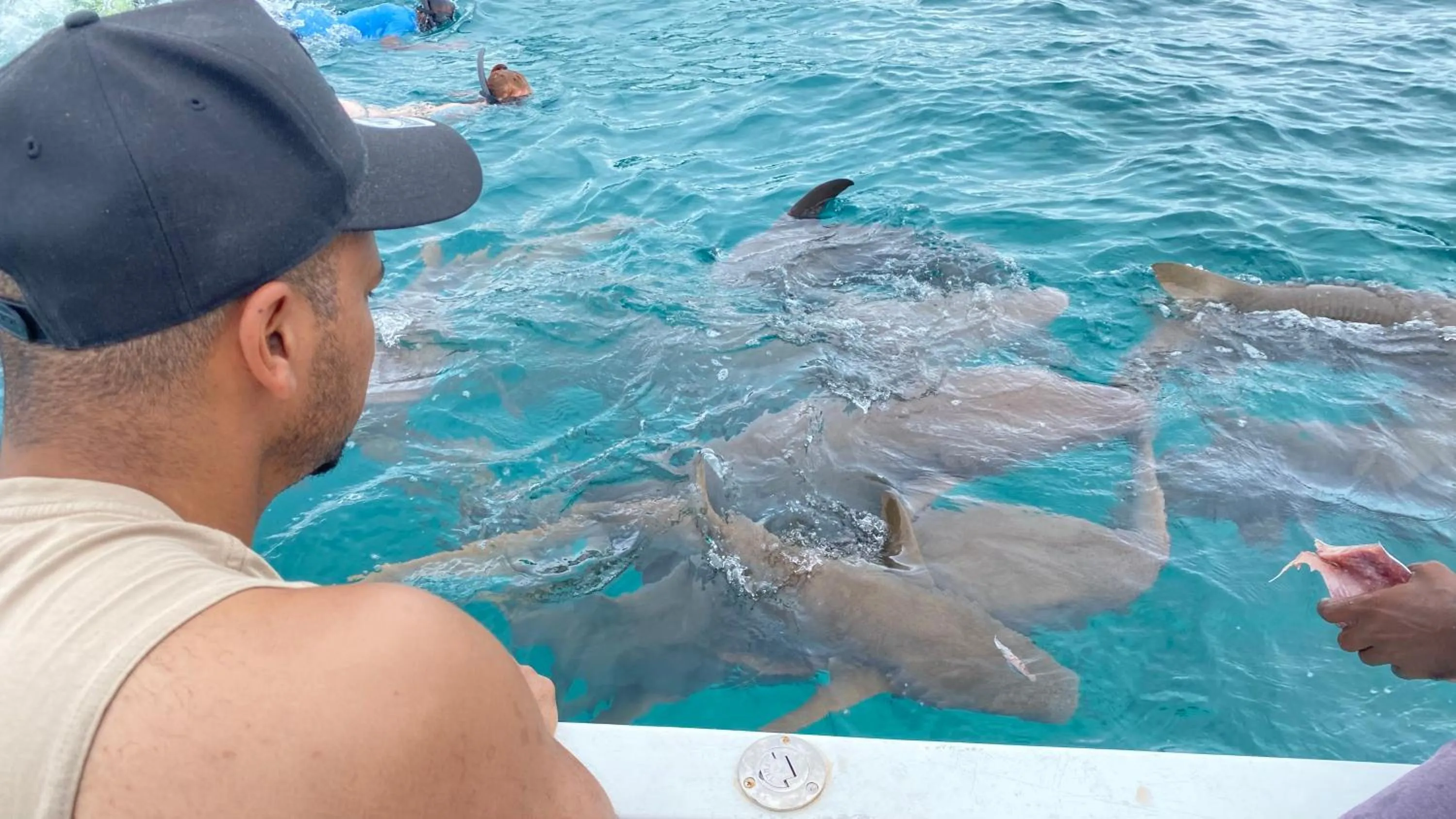 Activities in Alimas Holiday Retreat Maldives