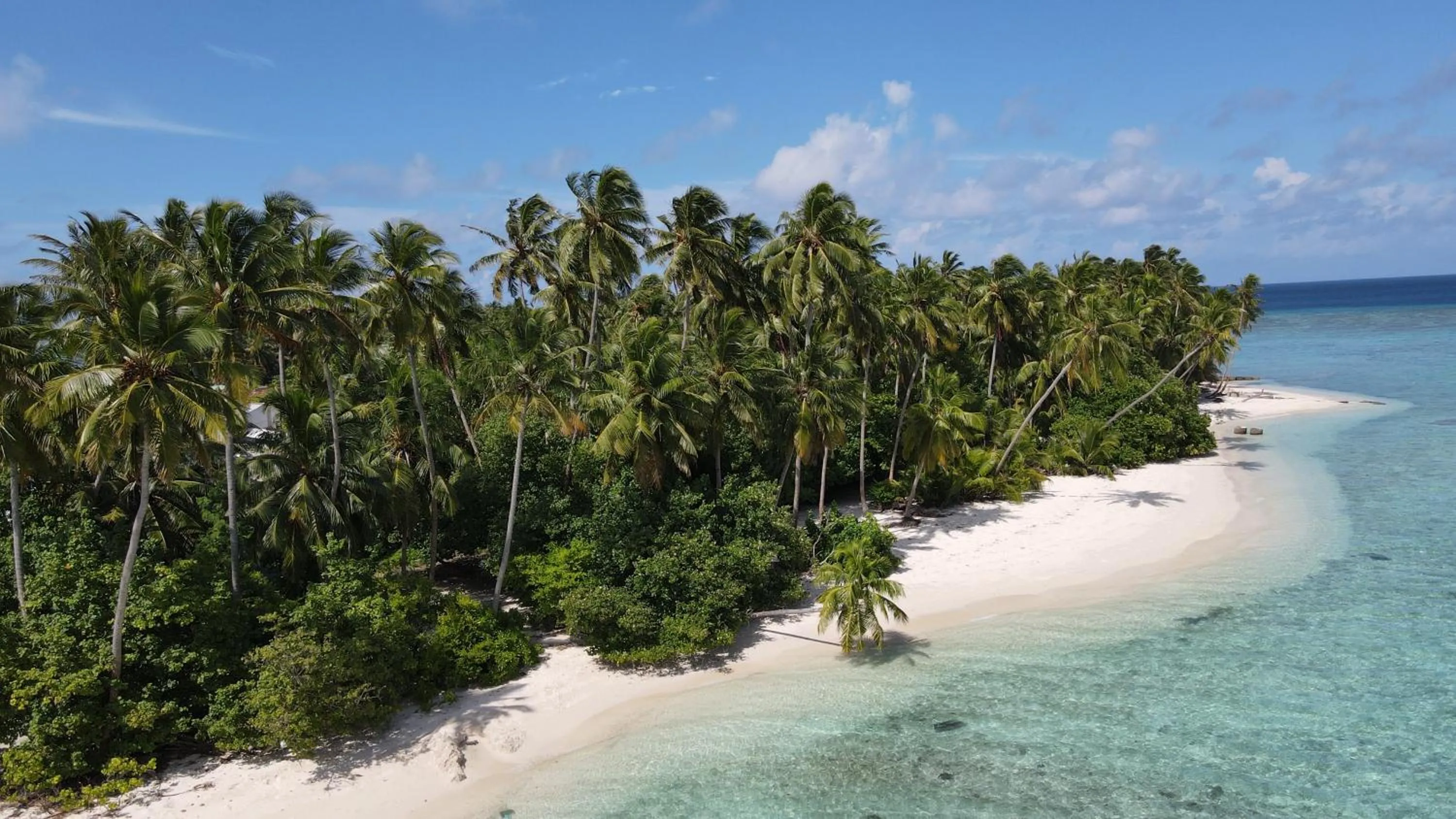 Beach in Alimas Holiday Retreat Maldives