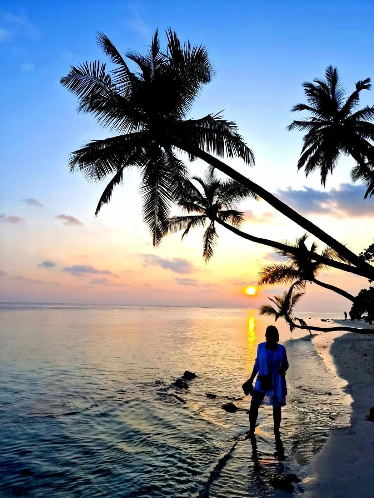 Beach in Alimas Holiday Retreat Maldives