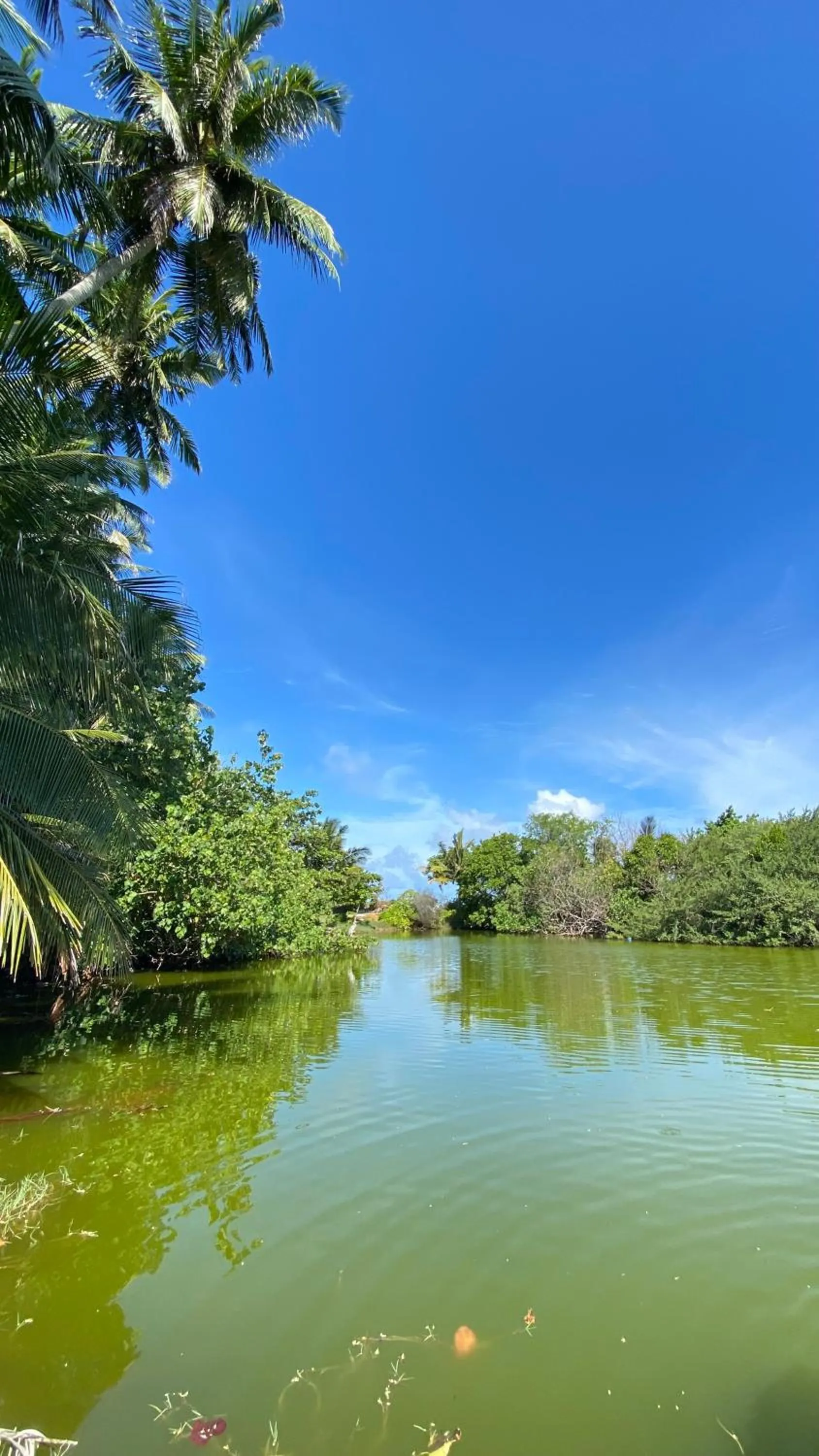 Natural landscape in Alimas Holiday Retreat Maldives