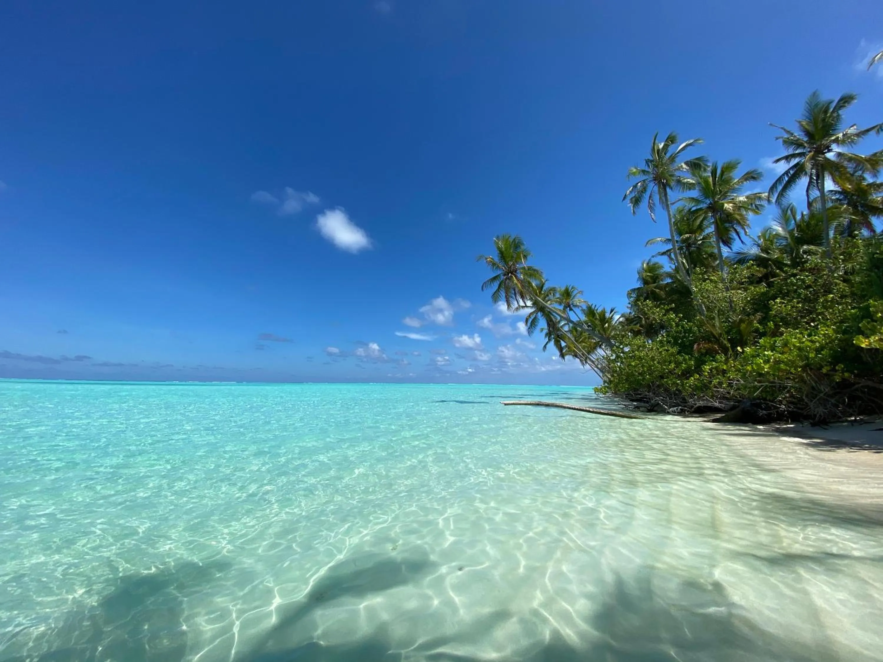 Beach in Alimas Holiday Retreat Maldives