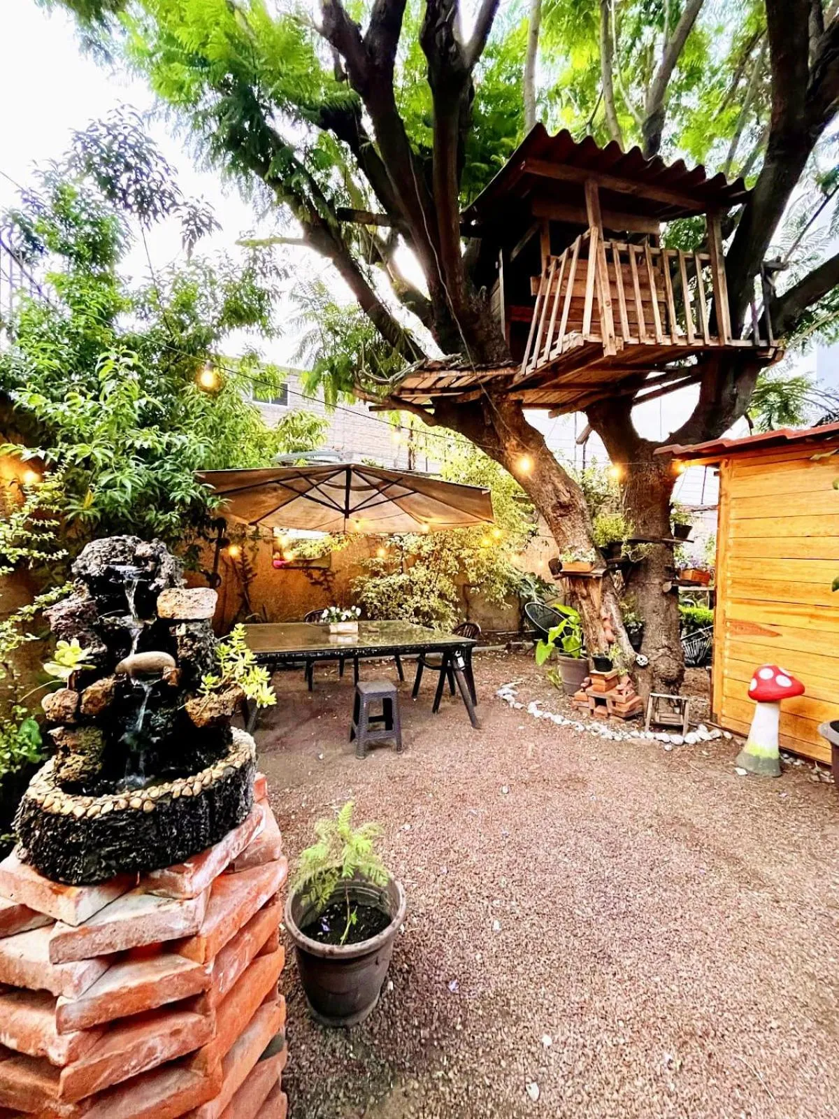 Garden in Casita del Árbol