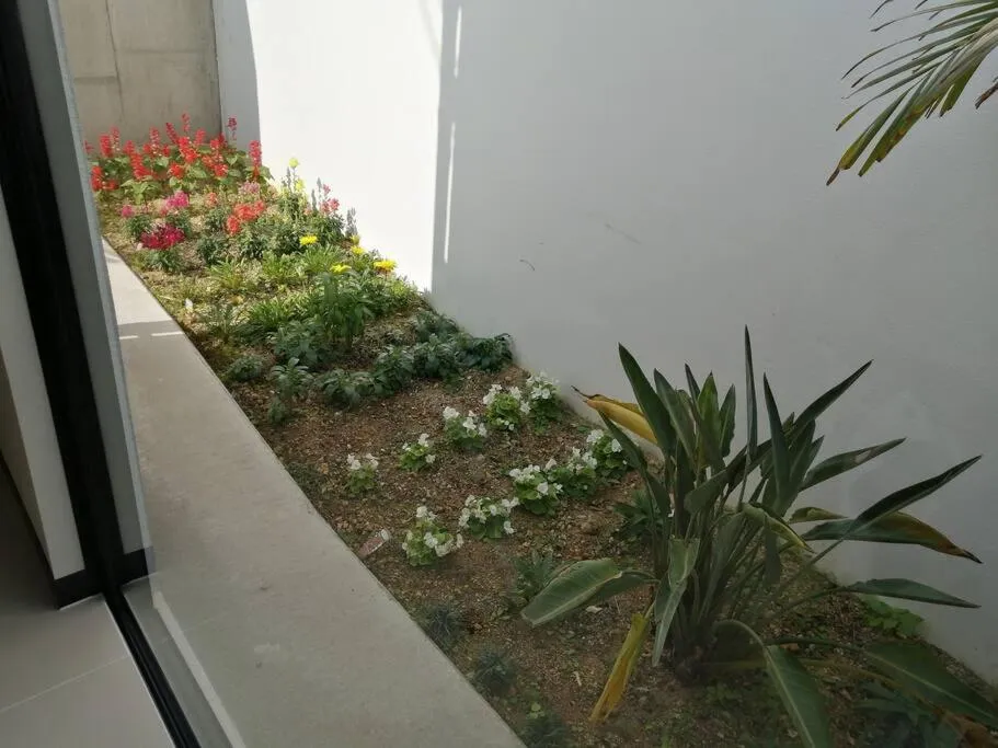 Garden view in SALTY HOUSE：海が目の前！