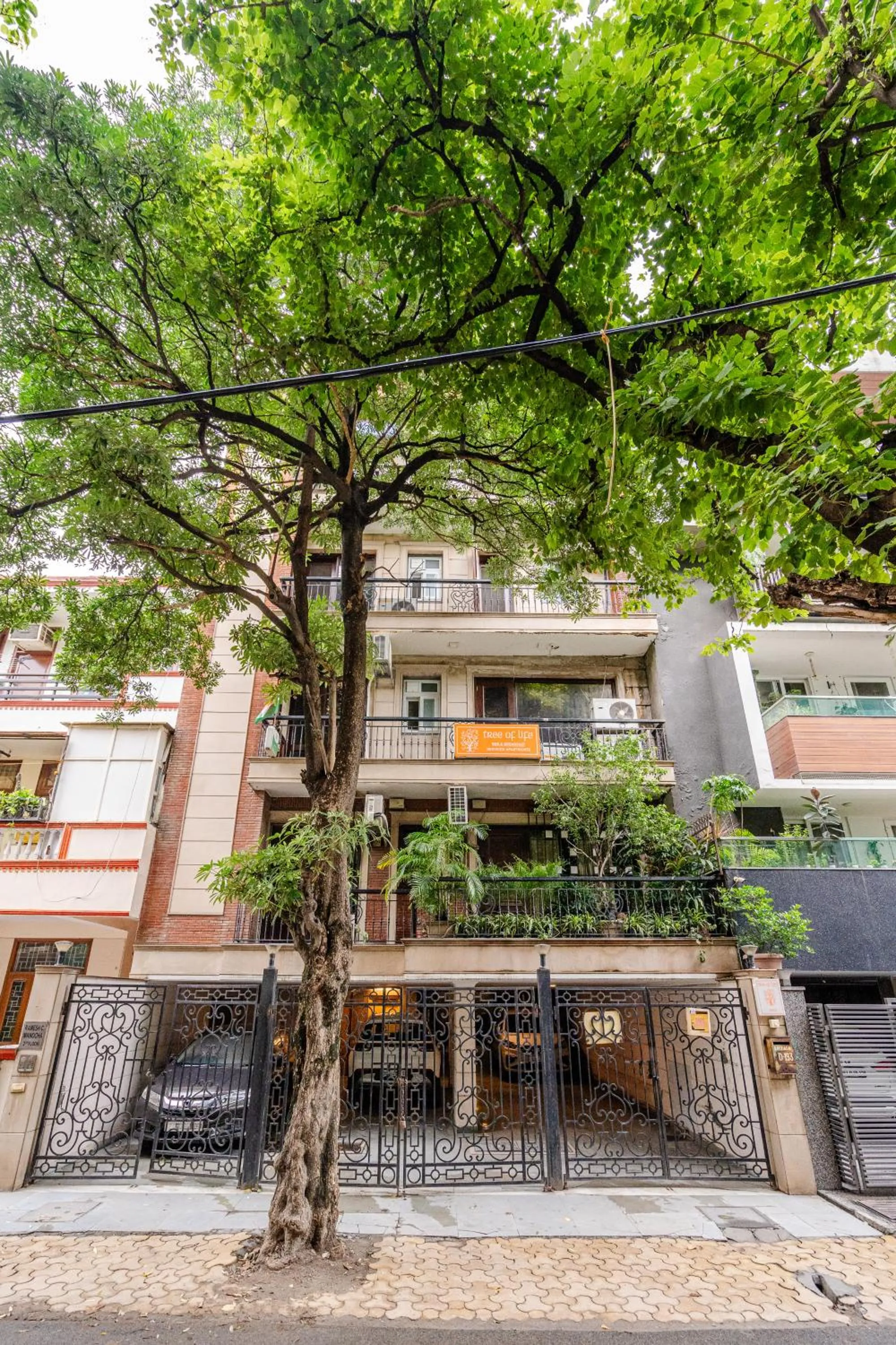 Tree of Life Bed & Breakfast