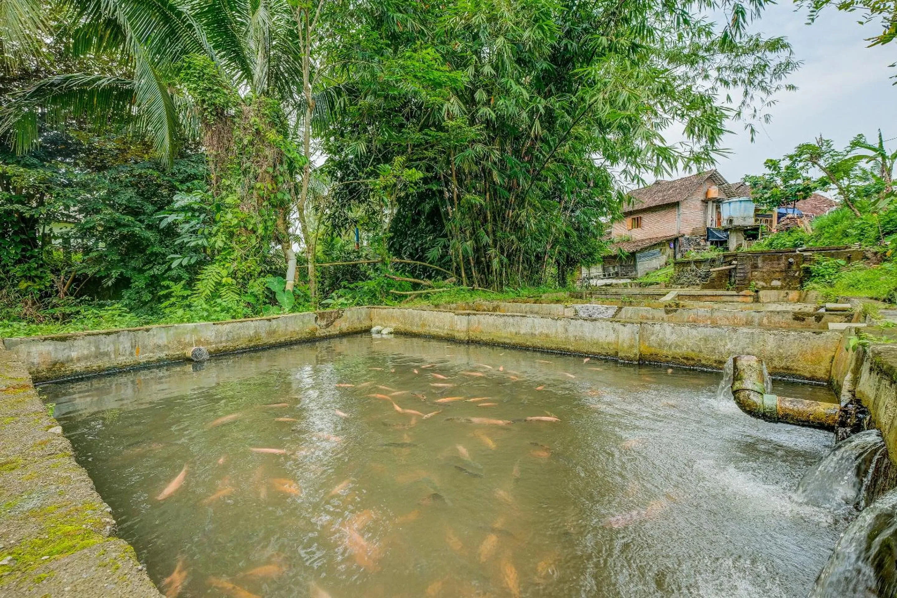 Other in OYO Homes 90987 Desa Wisata Gabugan Syariah