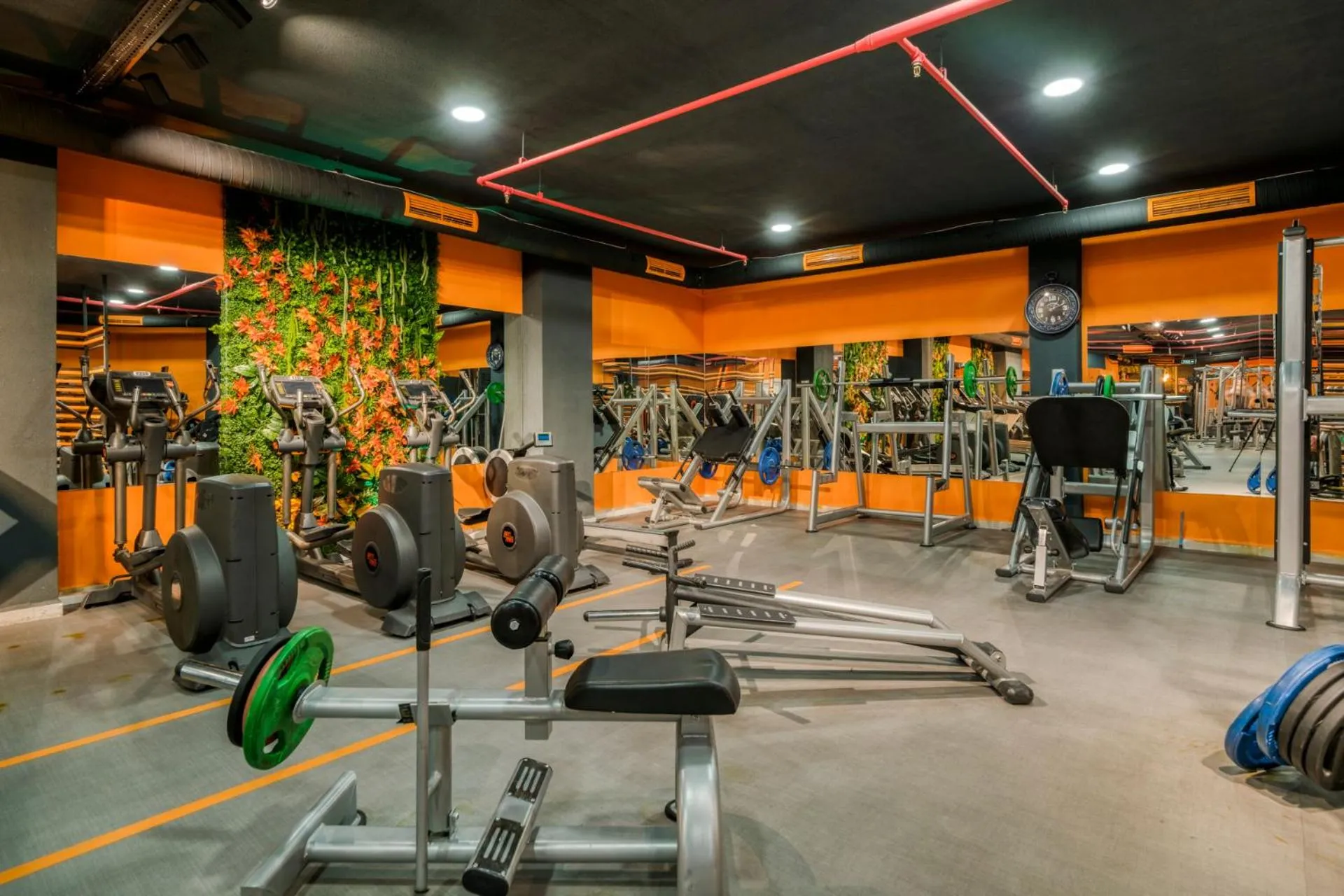 Fitness centre/facilities in Zin D Sefin Aparts