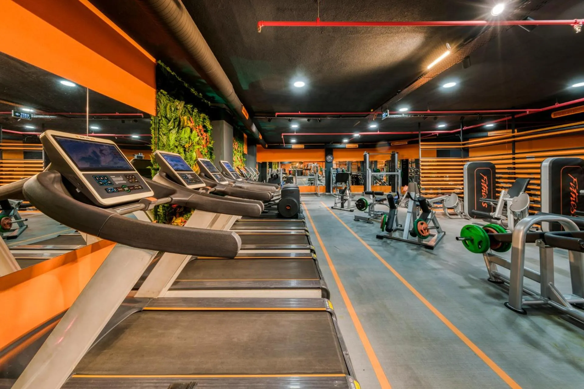 Fitness centre/facilities in Zin D Sefin Aparts